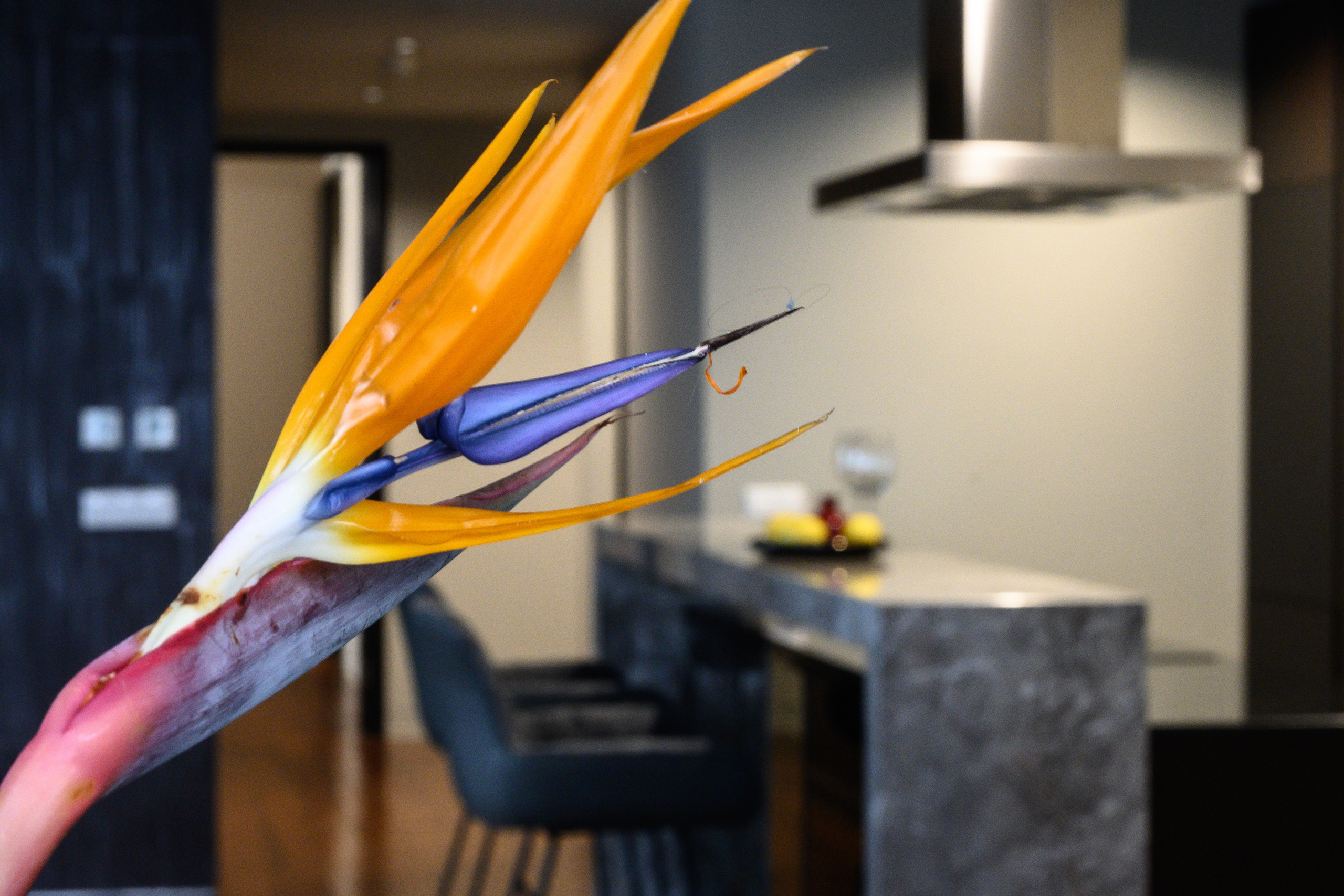 Фотосессия Москва-Сити. Интерьерный фотограф Юлия Лебедева. Москва