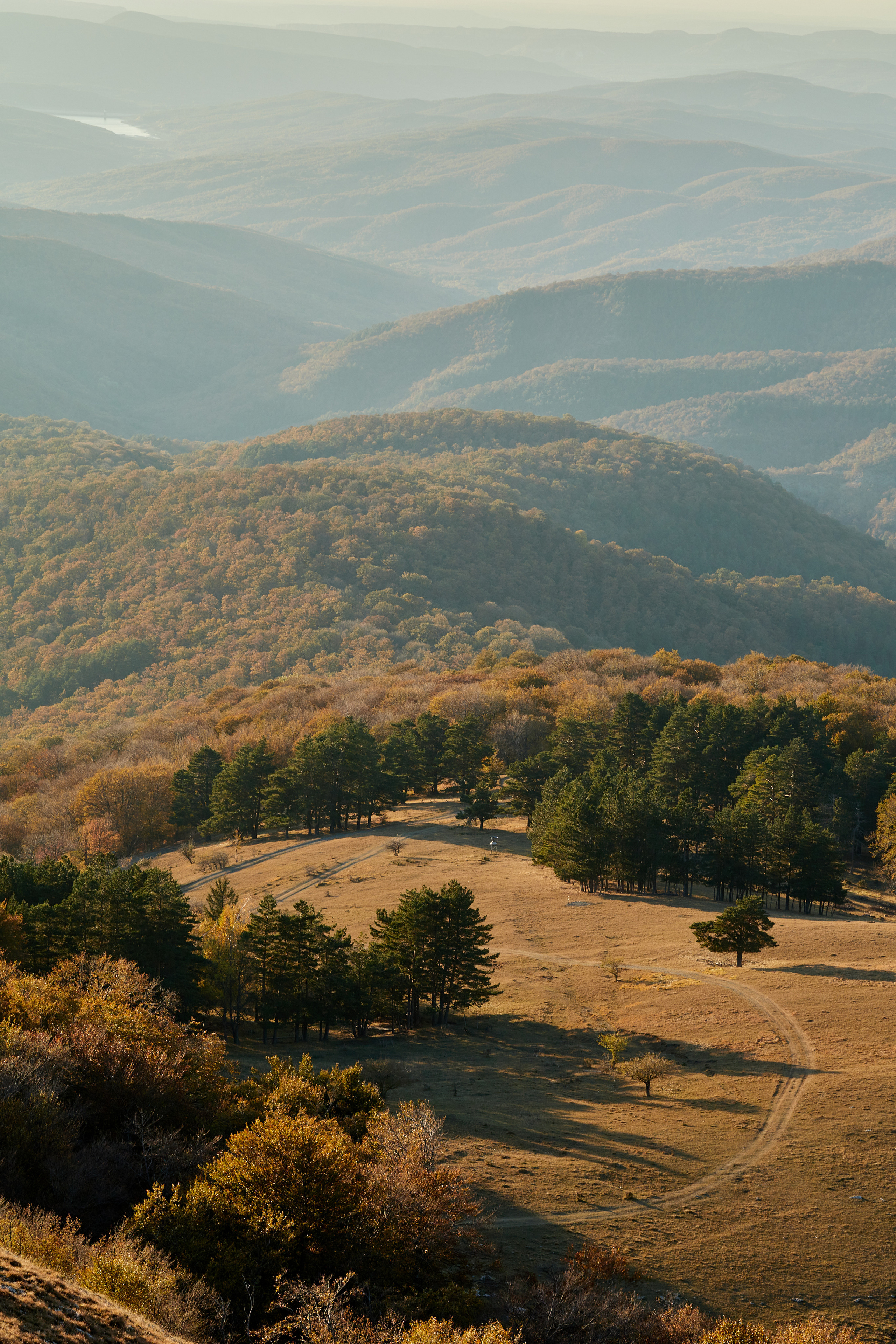 Пейзажи. Photographer Victoria Romanova