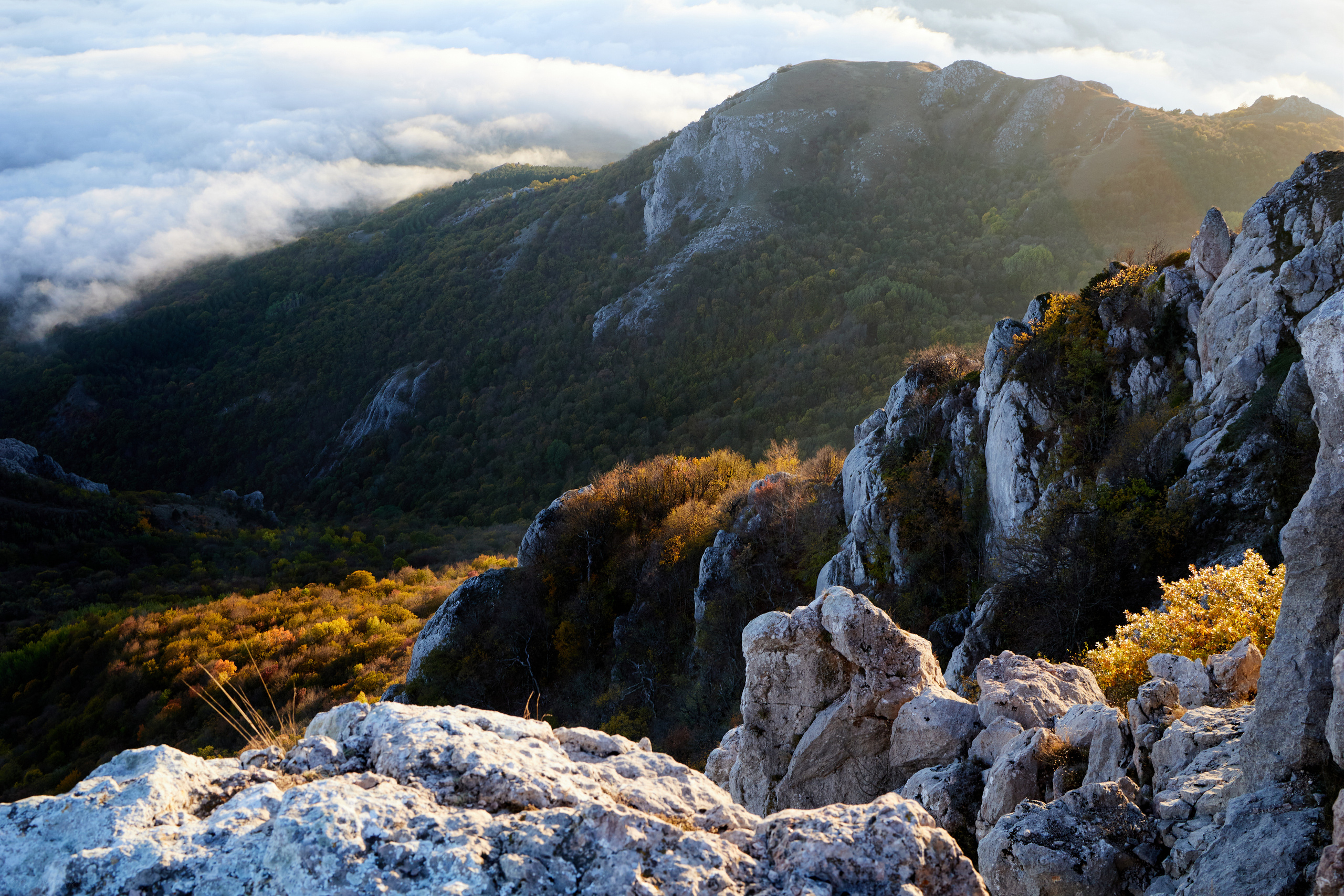Пейзажи. Photographer Victoria Romanova