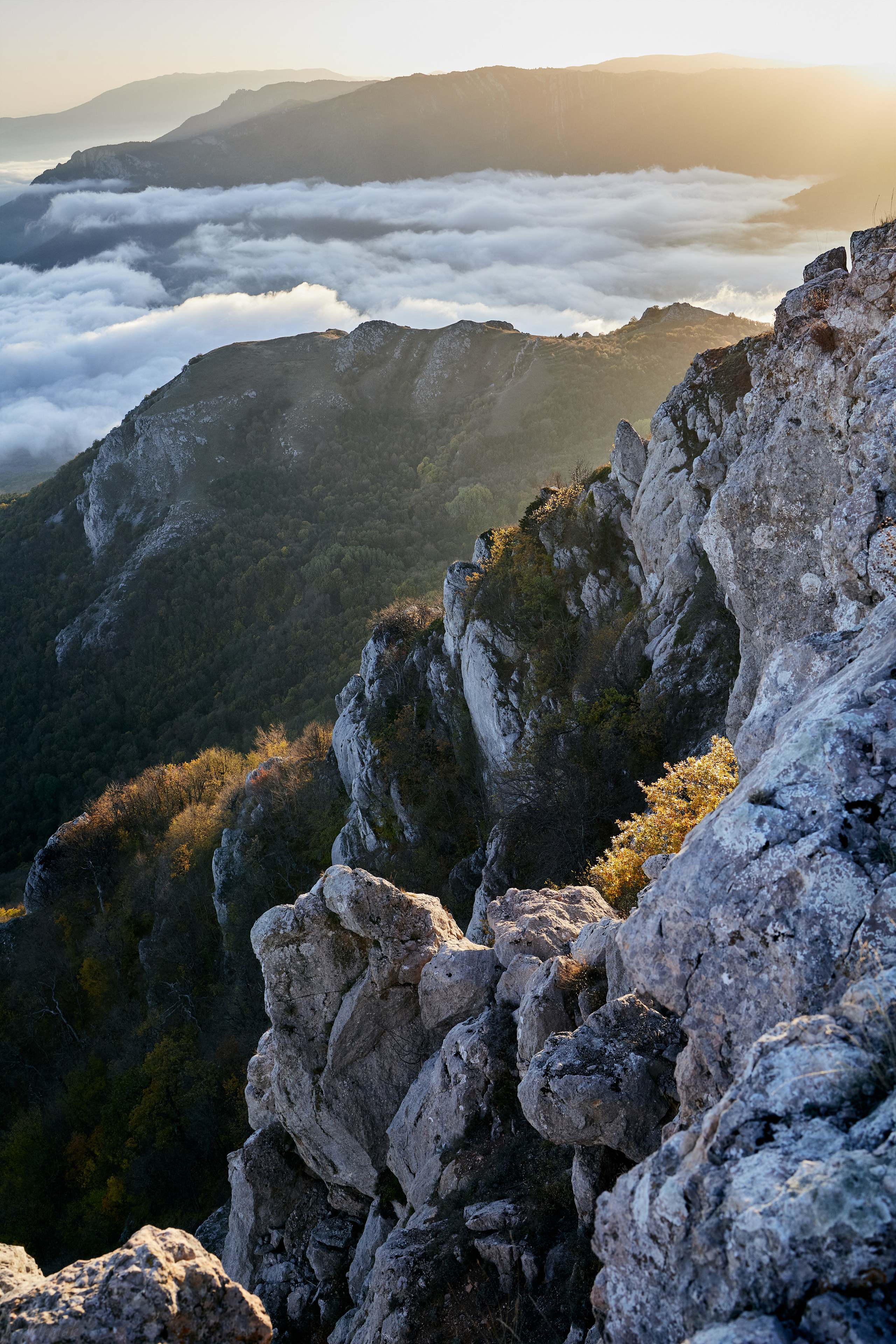 Пейзажи. Photographer Victoria Romanova
