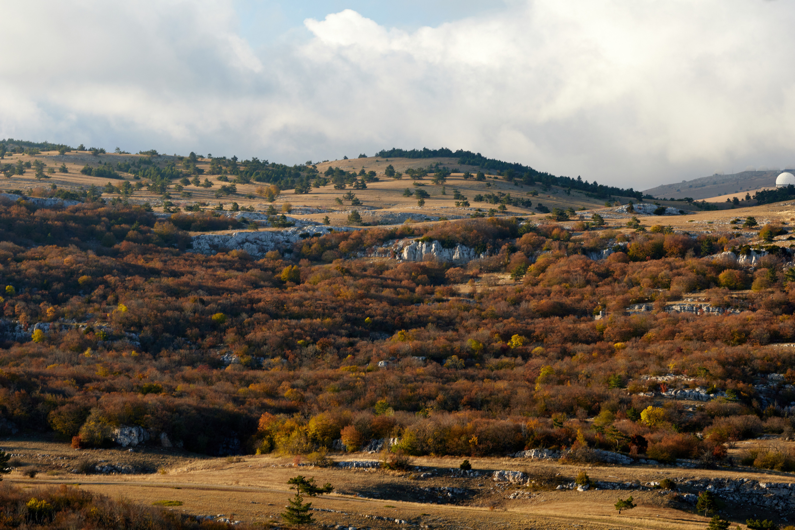 Пейзажи. Photographer Victoria Romanova
