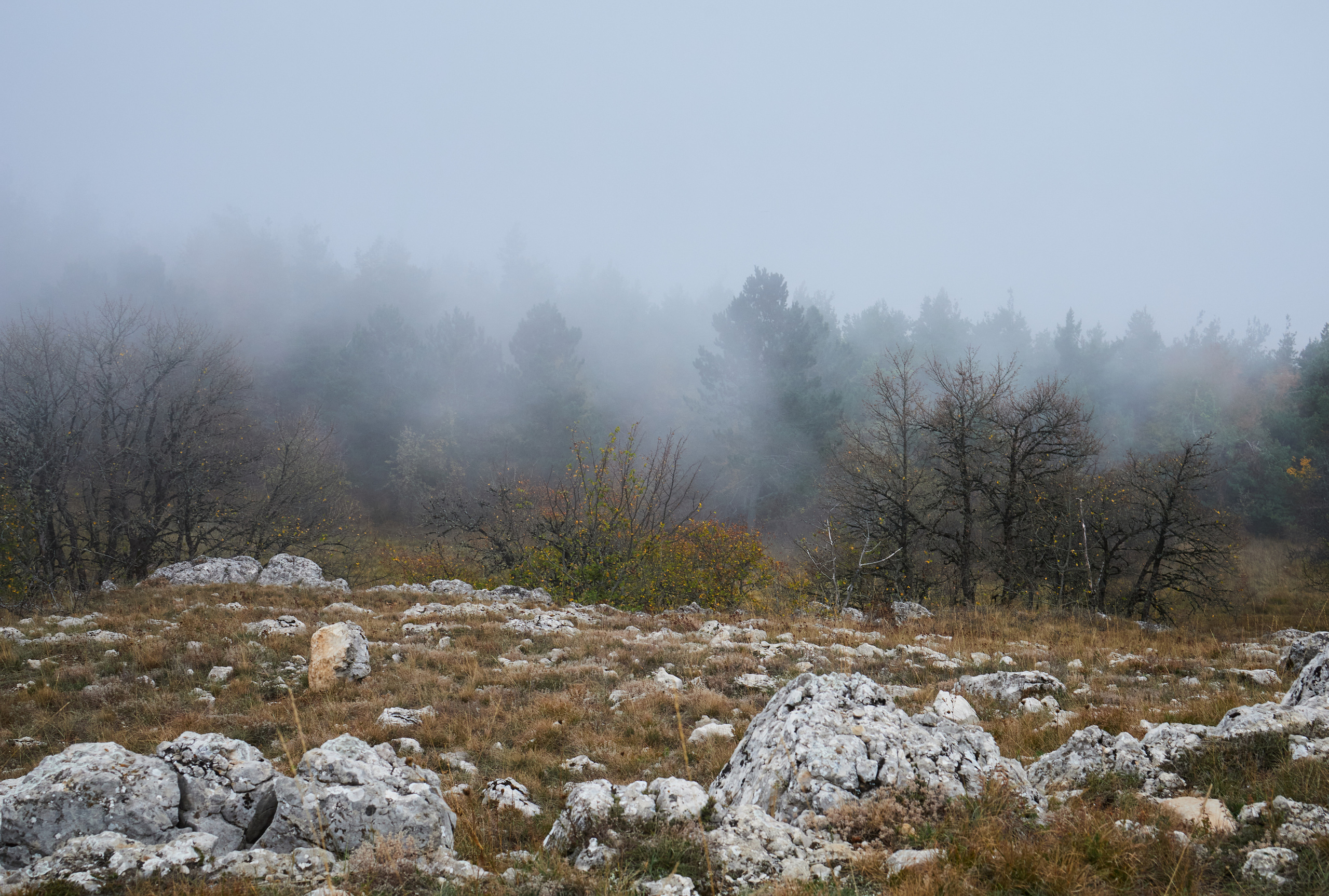 Пейзажи. Photographer Victoria Romanova