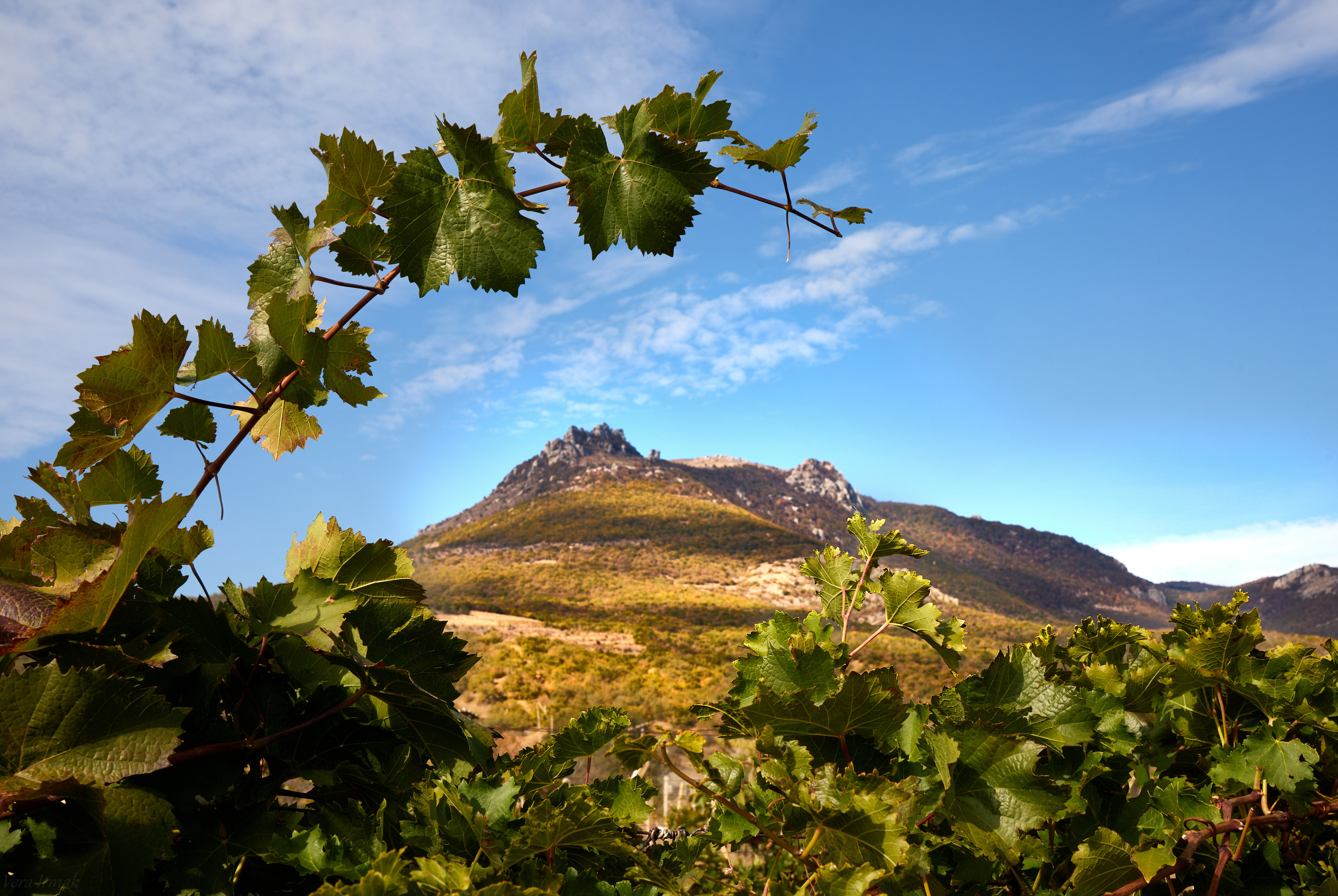 Пейзажи. Photographer Victoria Romanova