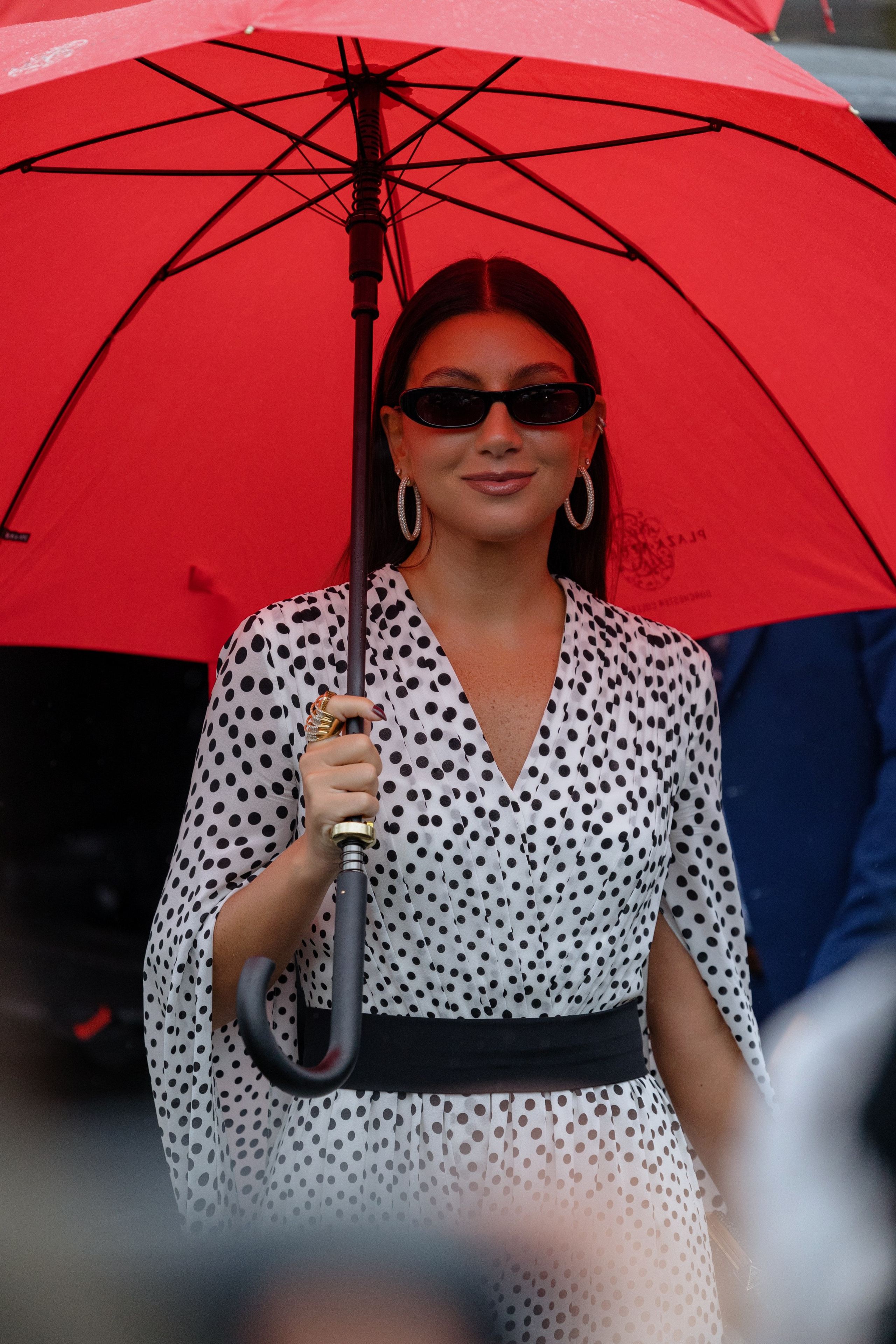 ELIE SAAB PFW WOMENSWEAR FALL-WINTER 24/25. Photographer in Milan Ivan Goncharov