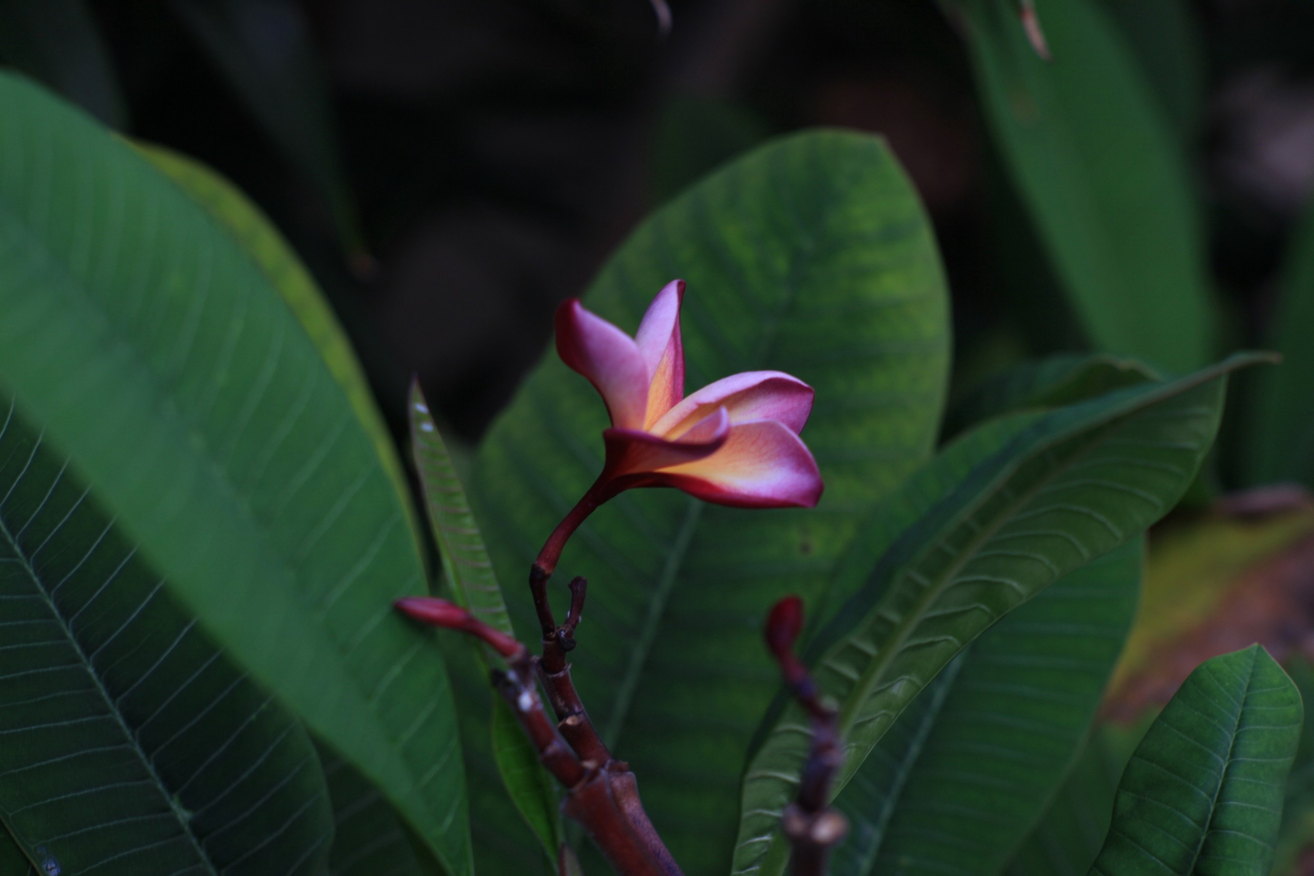 Пейзажи. Фотограф Мельник Ирина. Москва