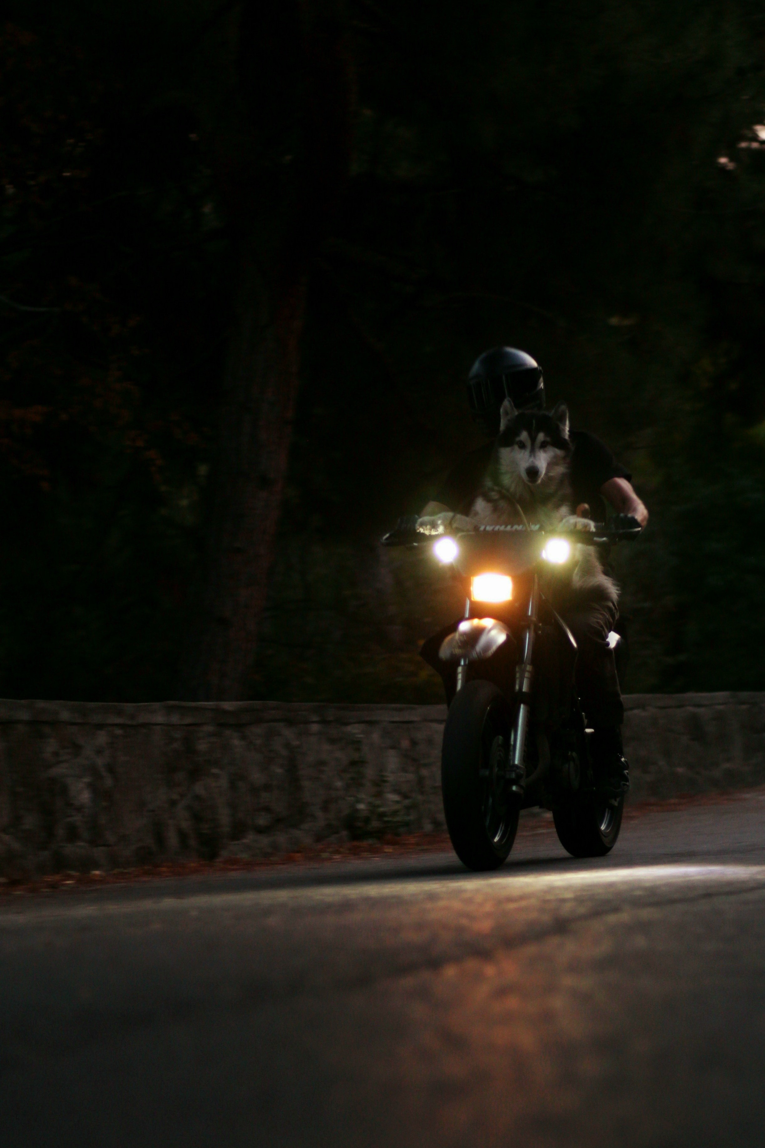 Автомобильная и мотофотография в Крыму — динамичные снимки | Роман Скрипкин. Живые фото в Крыму | Фотограф Роман Скрипкин | Искренние фотографии без поз и суеты