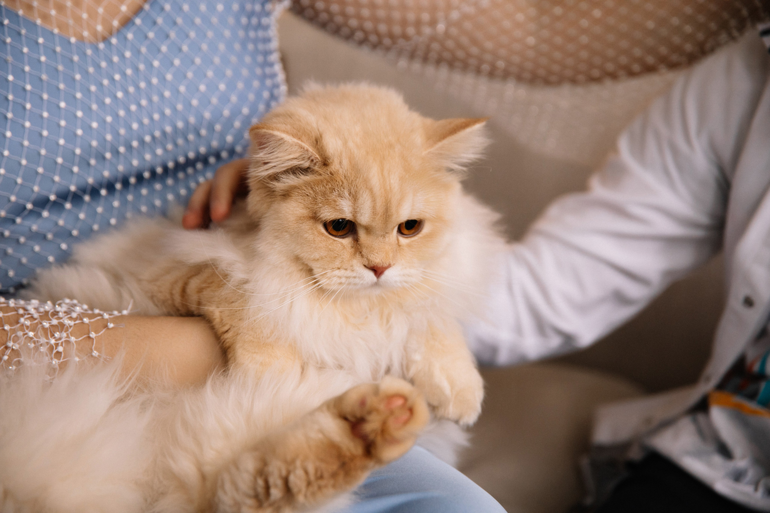 Самое главное — это воспоминания, которые мы создаем с семьей. Алла Пластинина — Фотограф Ижевск