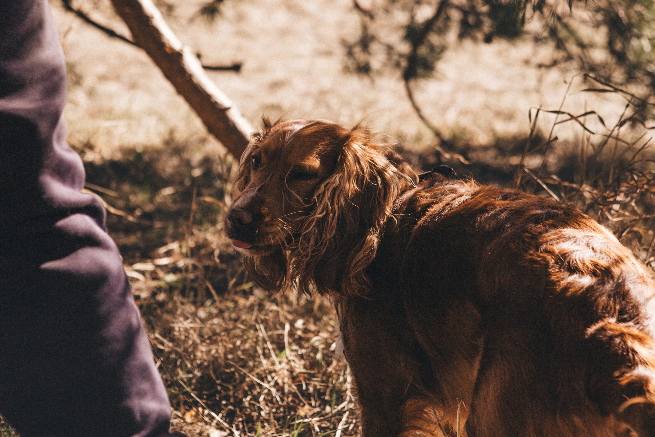 Julia & Jessie. Portrait, family and pet photographer in Cyprus, Ksenia Bourdelle