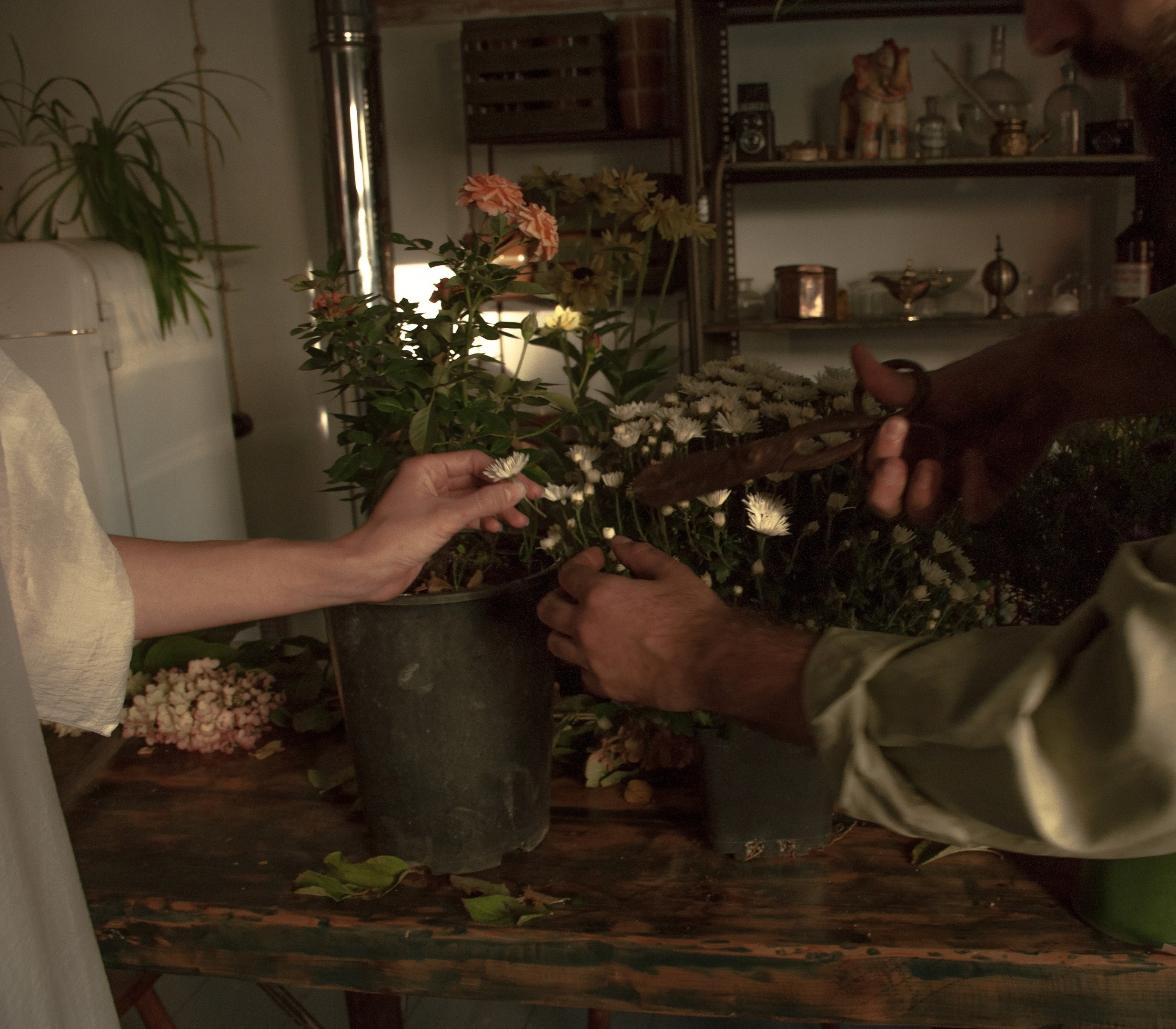 Муза. DINA MOREVA photography