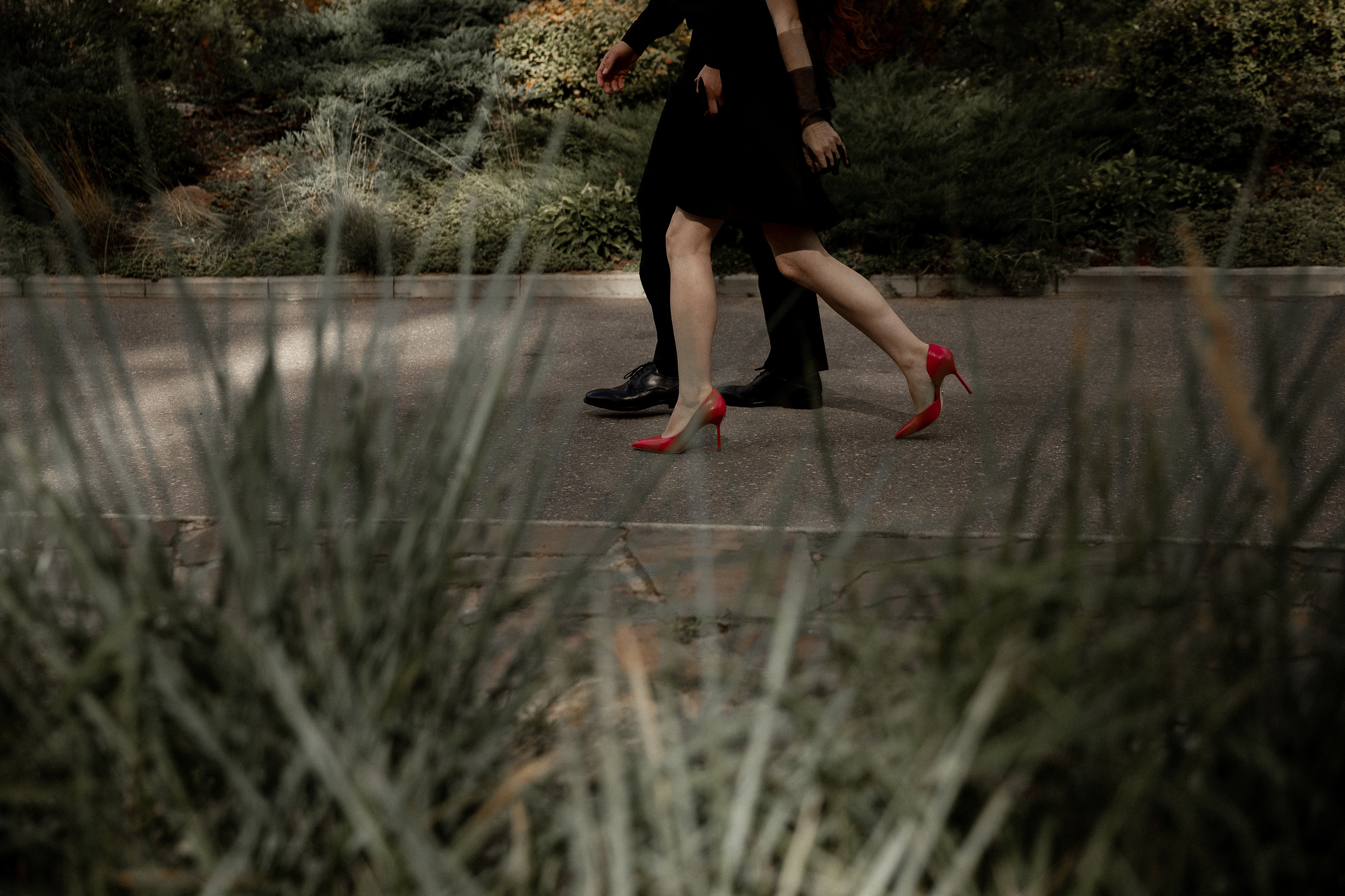 RAINBOW. Свадебный фотограф Ярославль, Рыбинск