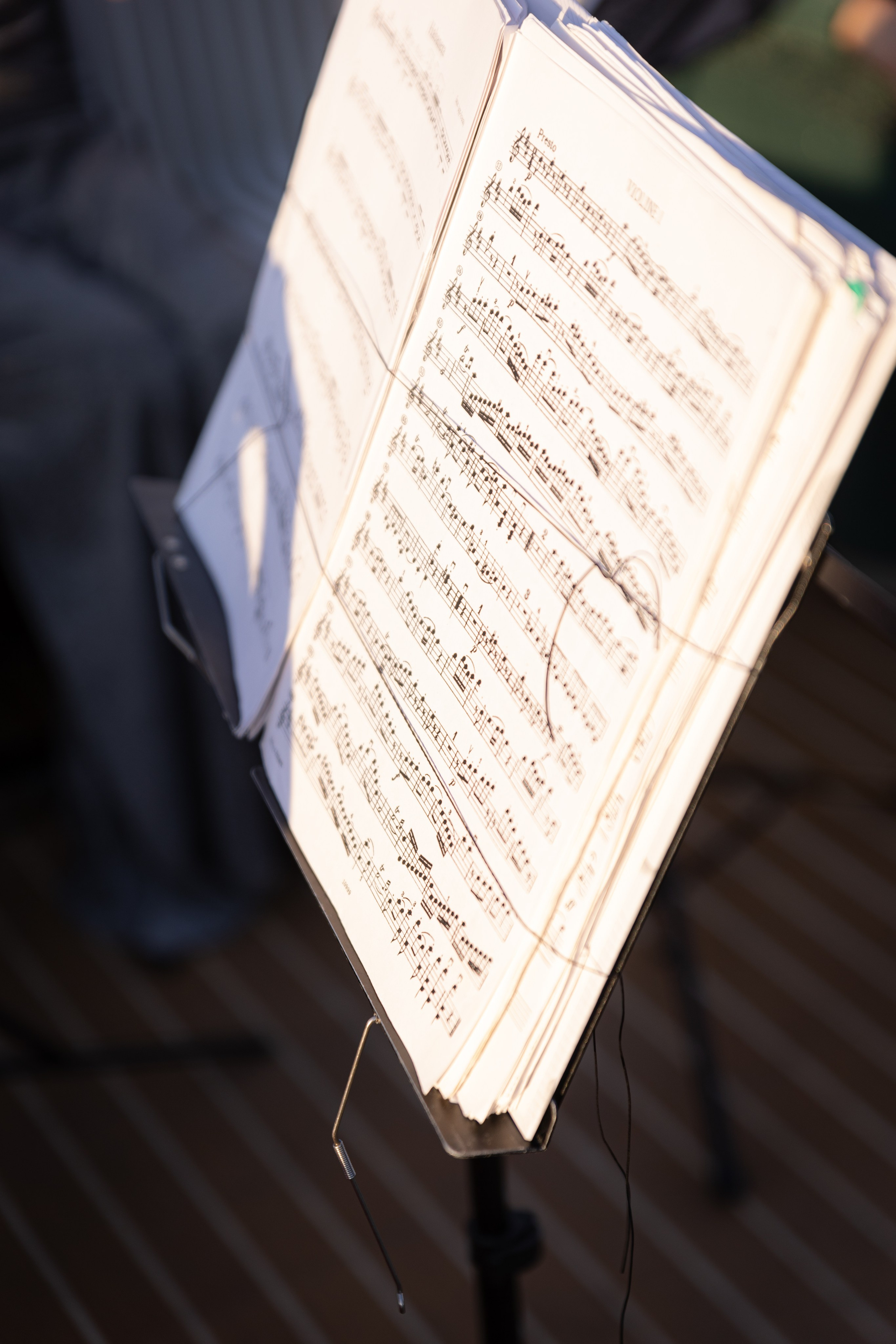 ПМЭФ'24. Ваш фотограф — Александра Андрущенко