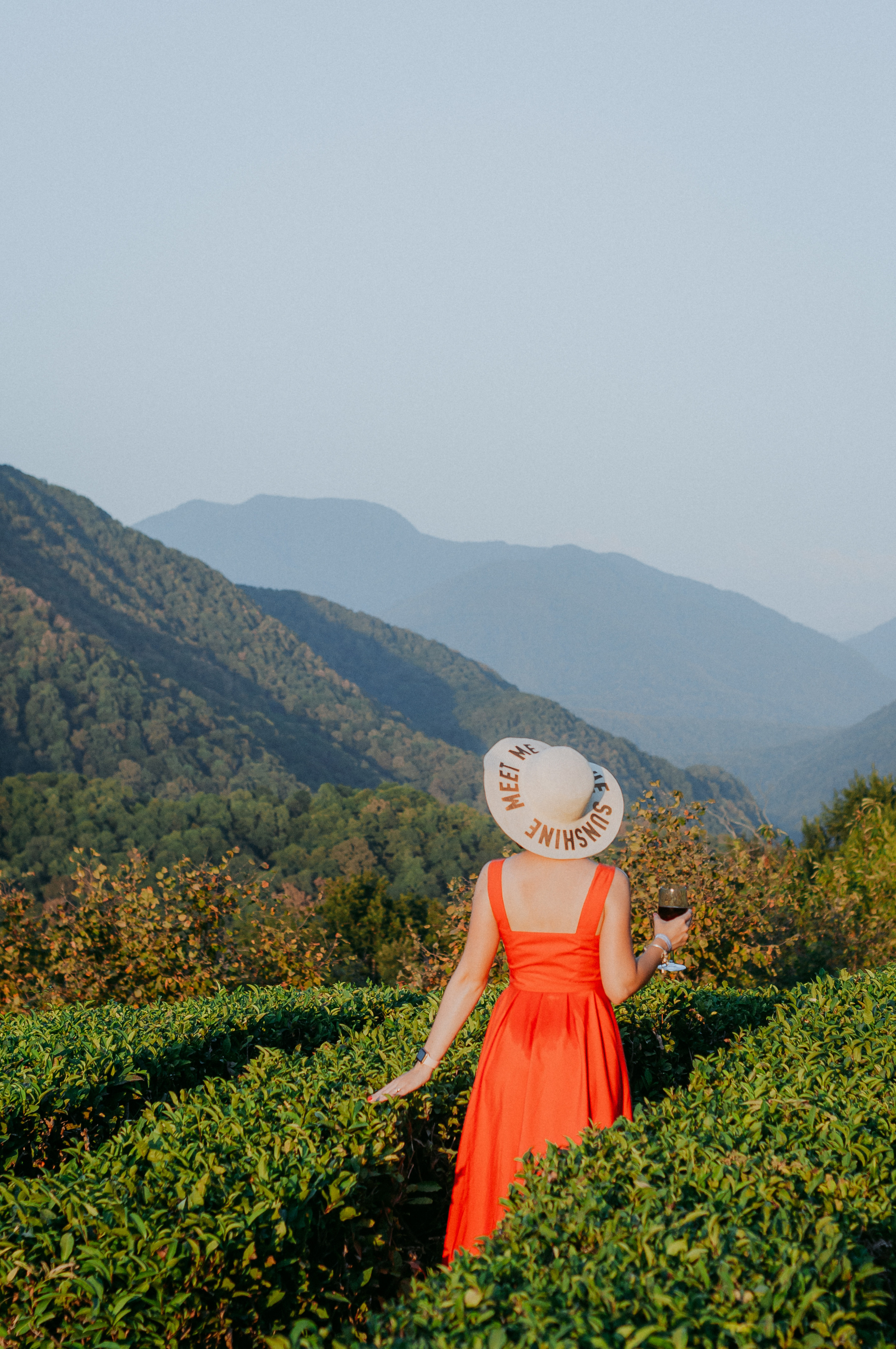 СОЛОХАУЛ. ПУТЕШЕСТВИЕ НА РОДИНУ РУССКОГО ЧАЯ. Фотограф в Сочи и Абхазии | Фототуры | September Air