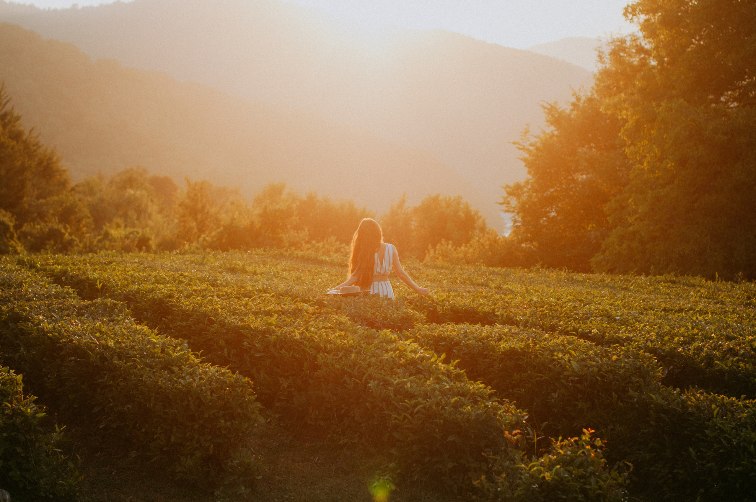 СОЛОХАУЛ. ПУТЕШЕСТВИЕ НА РОДИНУ РУССКОГО ЧАЯ. Фотограф в Сочи и Абхазии | Фототуры | September Air