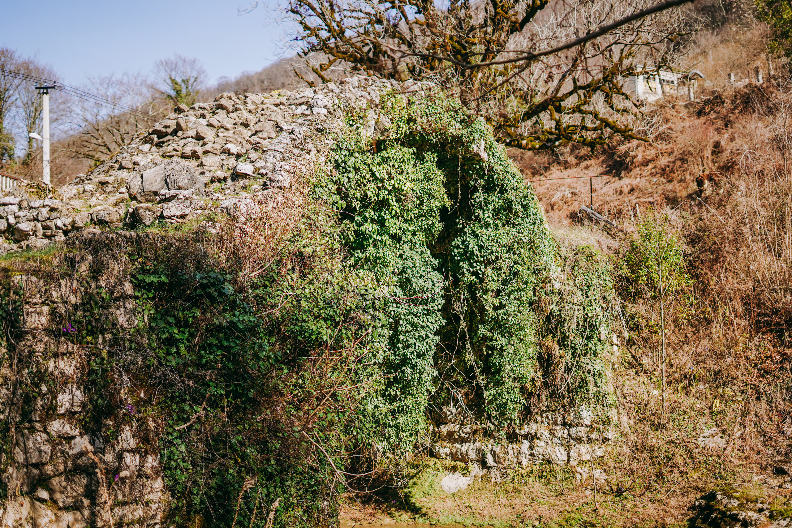 АБХАЗИЯ. ВОКРУГ СУХУМА. Фотограф в Сочи и Абхазии | Фототуры | September Air