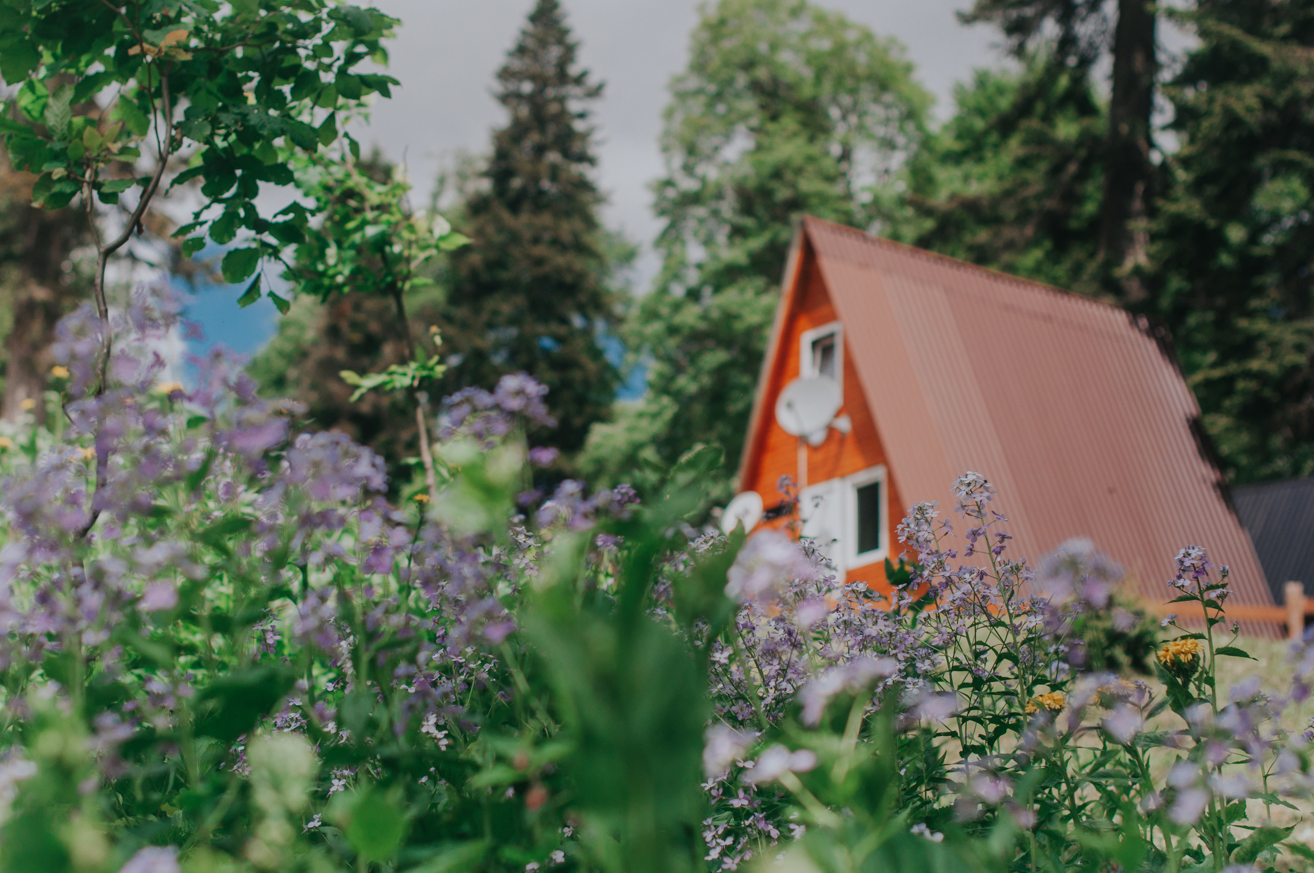 АБХАЗИЯ. ПИКНИК НА АЛЬПИЙСКИХ ЛУГАХ. Фотограф в Сочи и Абхазии | Фототуры | September Air