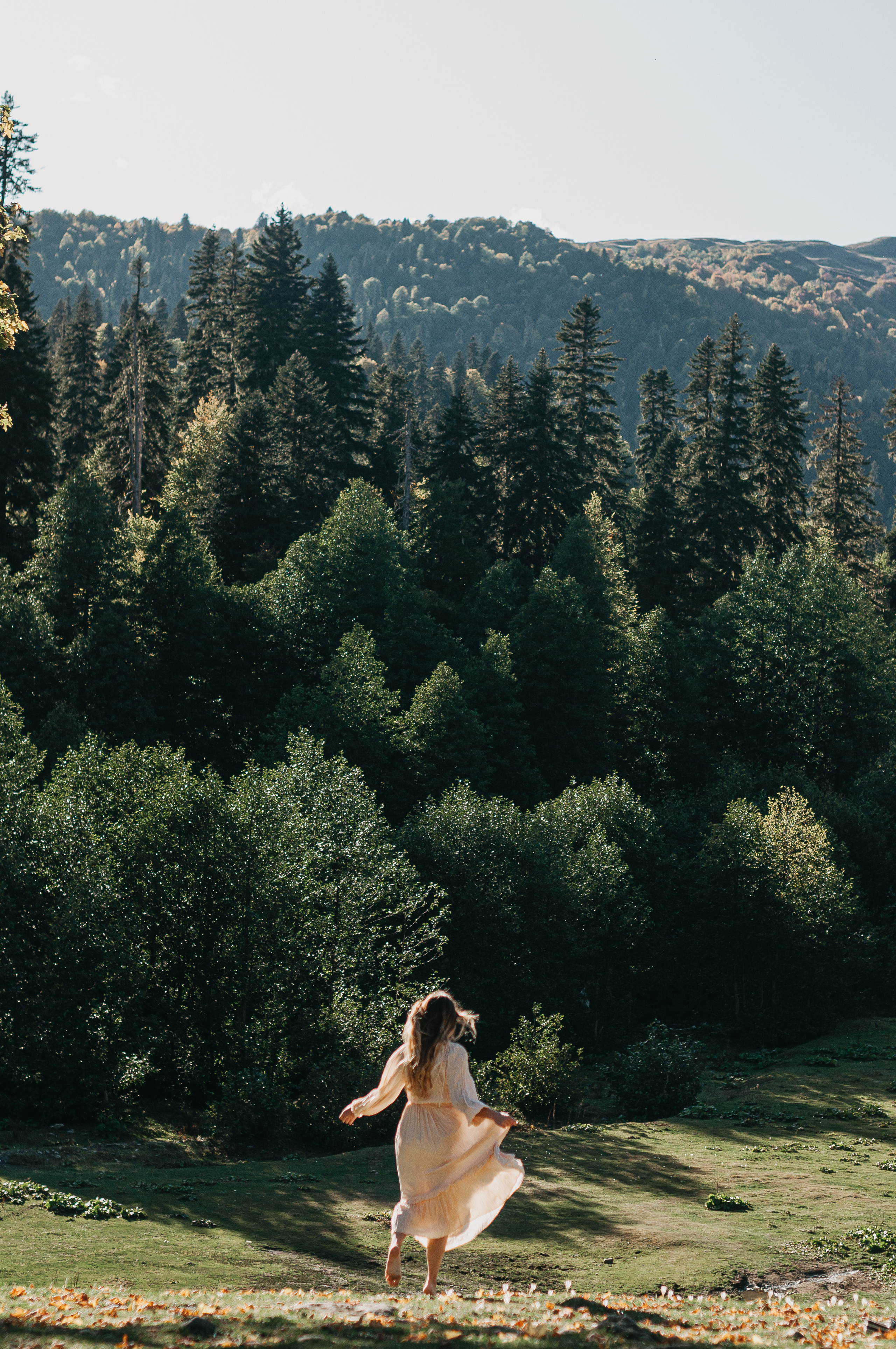 АБХАЗИЯ. ПИКНИК НА АЛЬПИЙСКИХ ЛУГАХ. Фотограф в Сочи и Абхазии | Фототуры | September Air