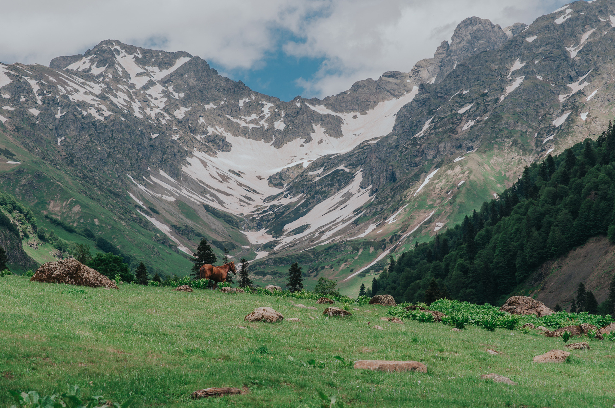 АБХАЗИЯ. ПИКНИК НА АЛЬПИЙСКИХ ЛУГАХ. Фотограф в Сочи и Абхазии | Фототуры | September Air