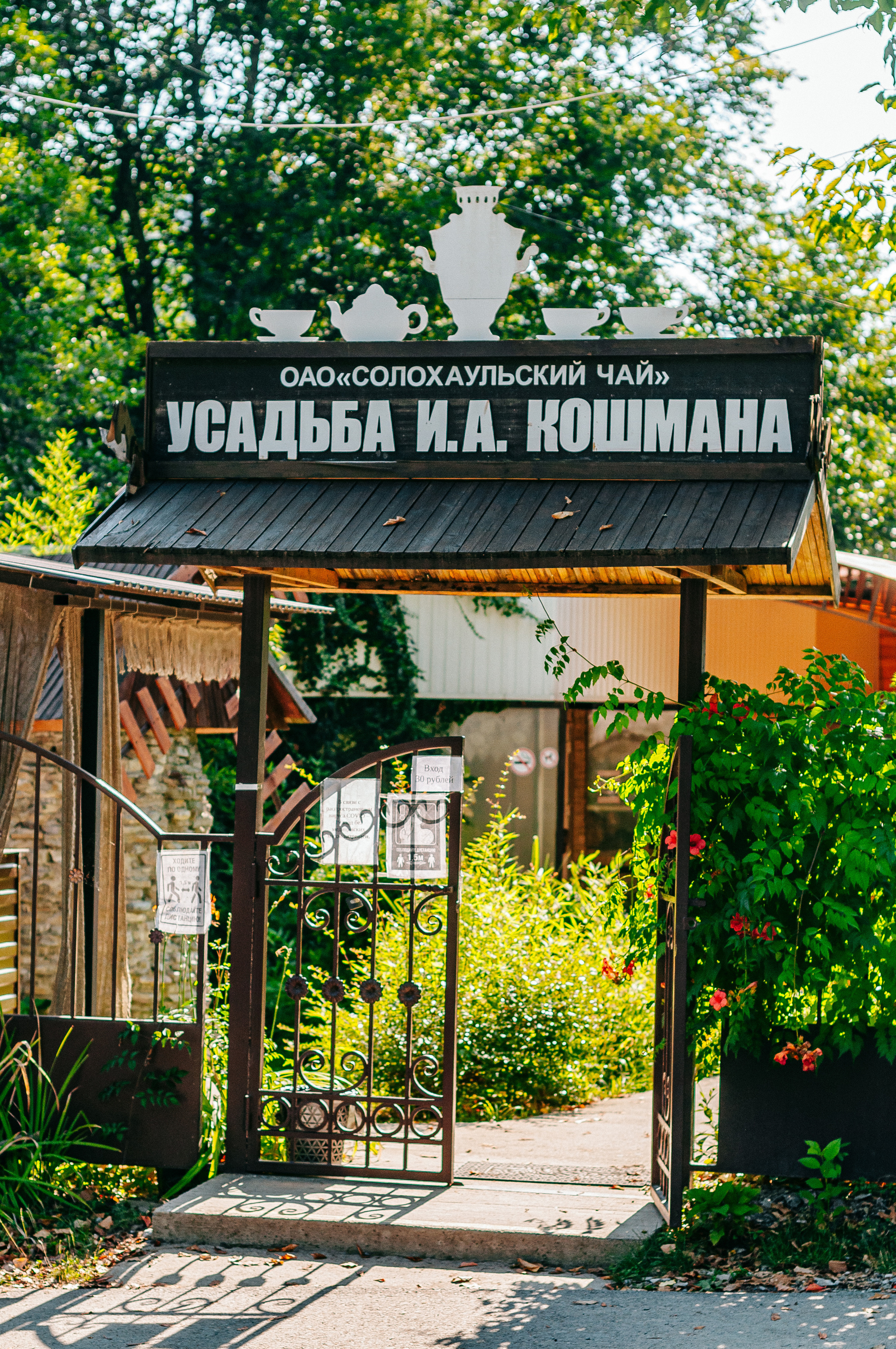 СОЛОХАУЛ. ПУТЕШЕСТВИЕ НА РОДИНУ РУССКОГО ЧАЯ. Фотограф в Сочи и Абхазии | Фототуры | September Air