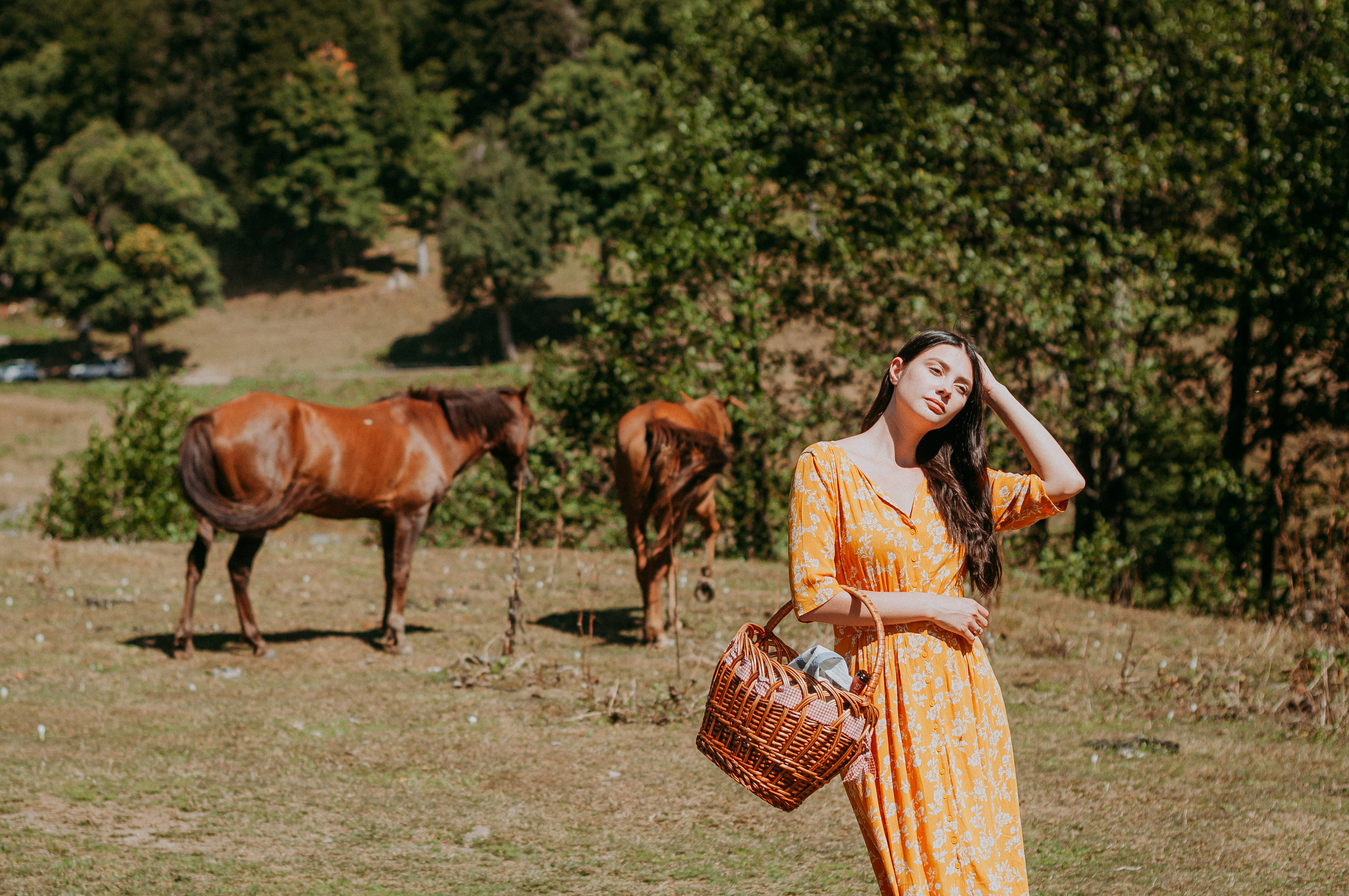 АБХАЗИЯ. ПИКНИК НА АЛЬПИЙСКИХ ЛУГАХ. Фотограф в Сочи и Абхазии | Фототуры | September Air