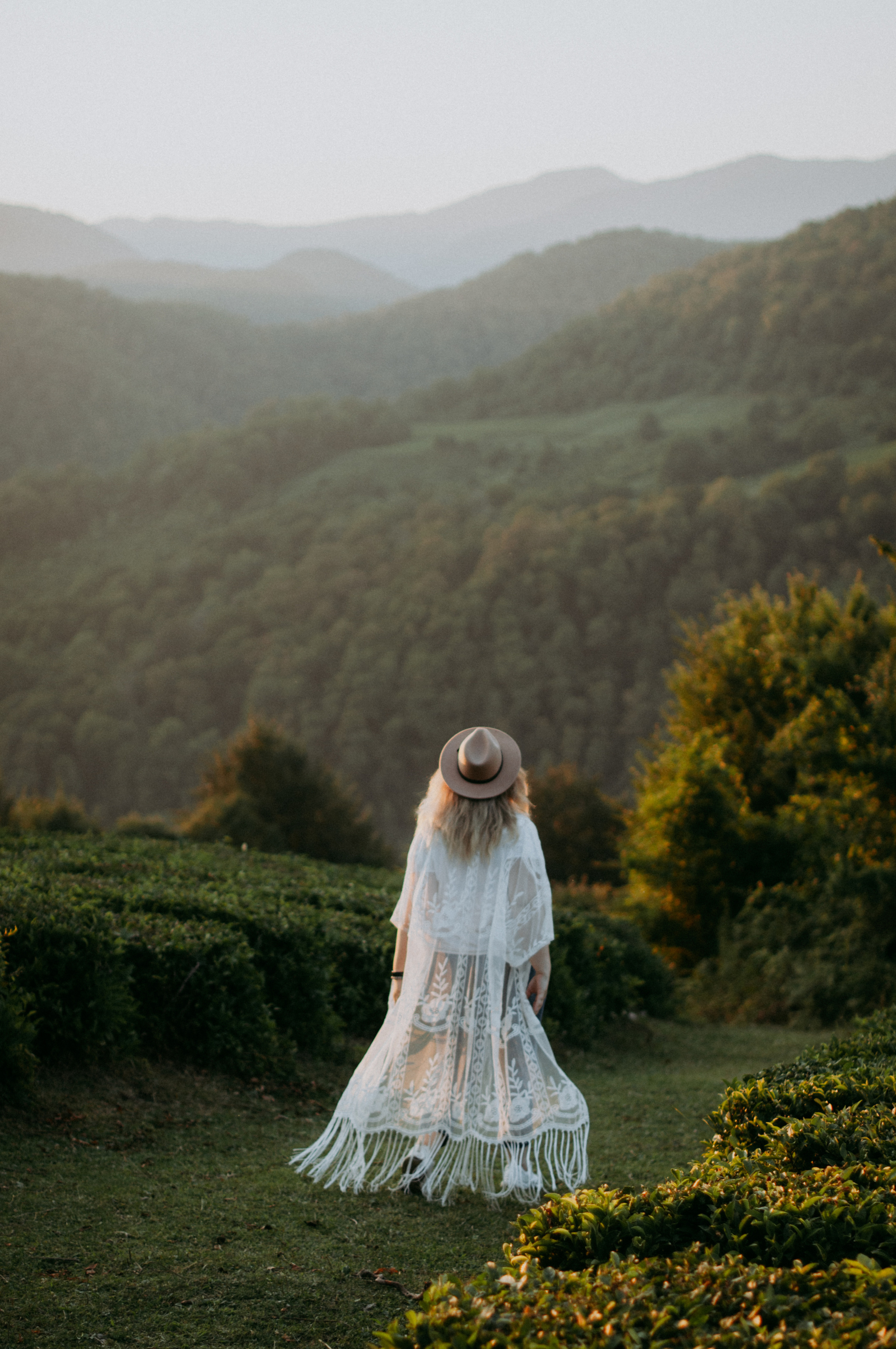 СОЛОХАУЛ. ПУТЕШЕСТВИЕ НА РОДИНУ РУССКОГО ЧАЯ. Фотограф в Сочи и Абхазии | Фототуры | September Air