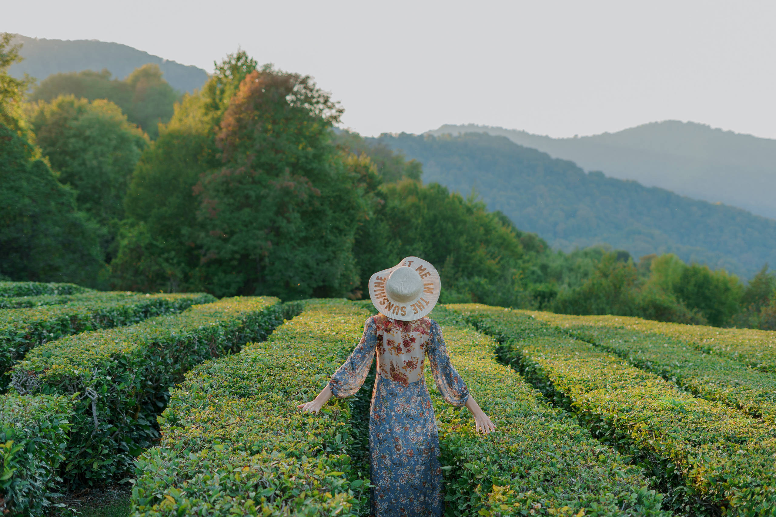СОЛОХАУЛ. ПУТЕШЕСТВИЕ НА РОДИНУ РУССКОГО ЧАЯ. Фотограф в Сочи и Абхазии | Фототуры | September Air