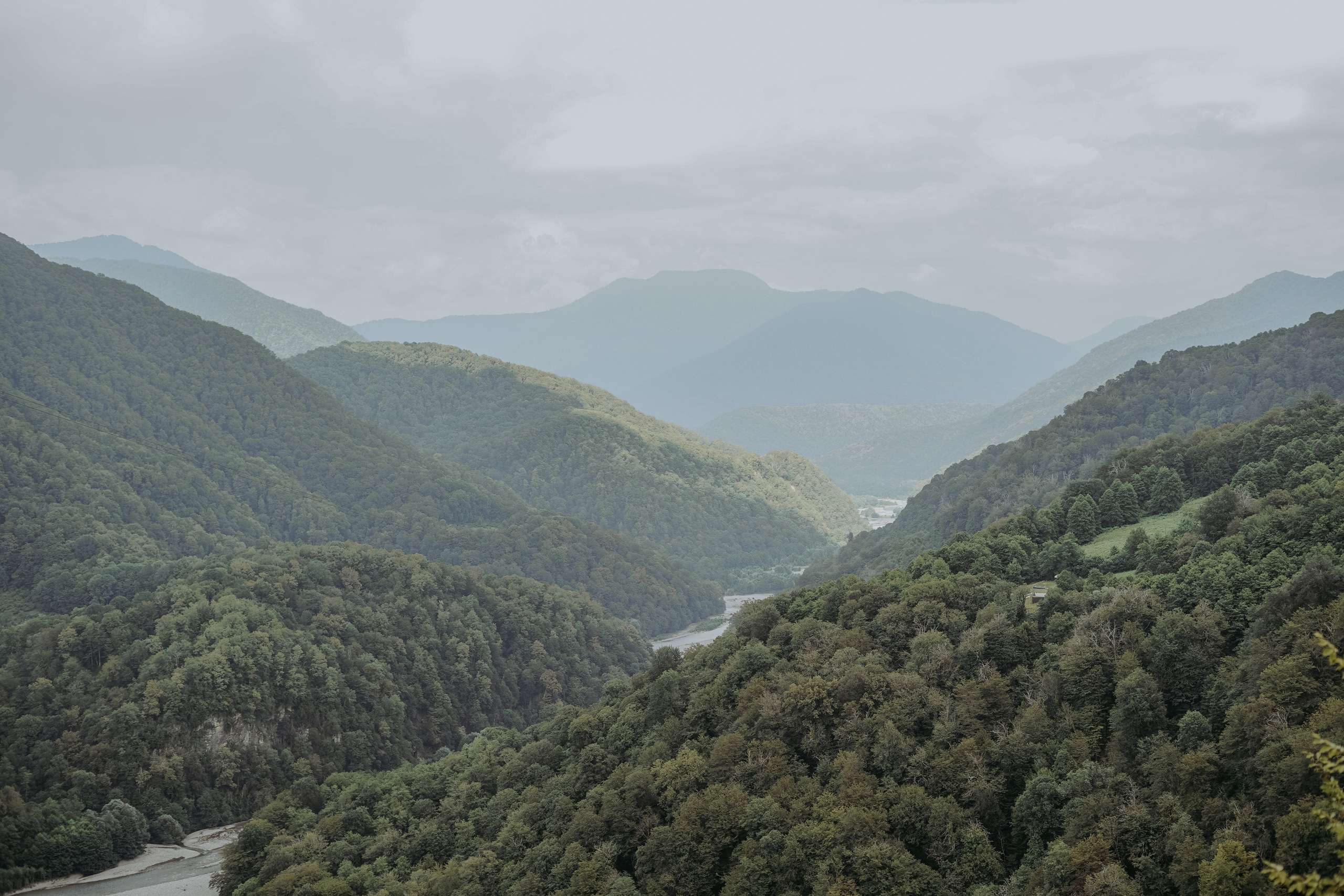 СОЛОХАУЛ. ПУТЕШЕСТВИЕ НА РОДИНУ РУССКОГО ЧАЯ. Фотограф в Сочи и Абхазии | Фототуры | September Air