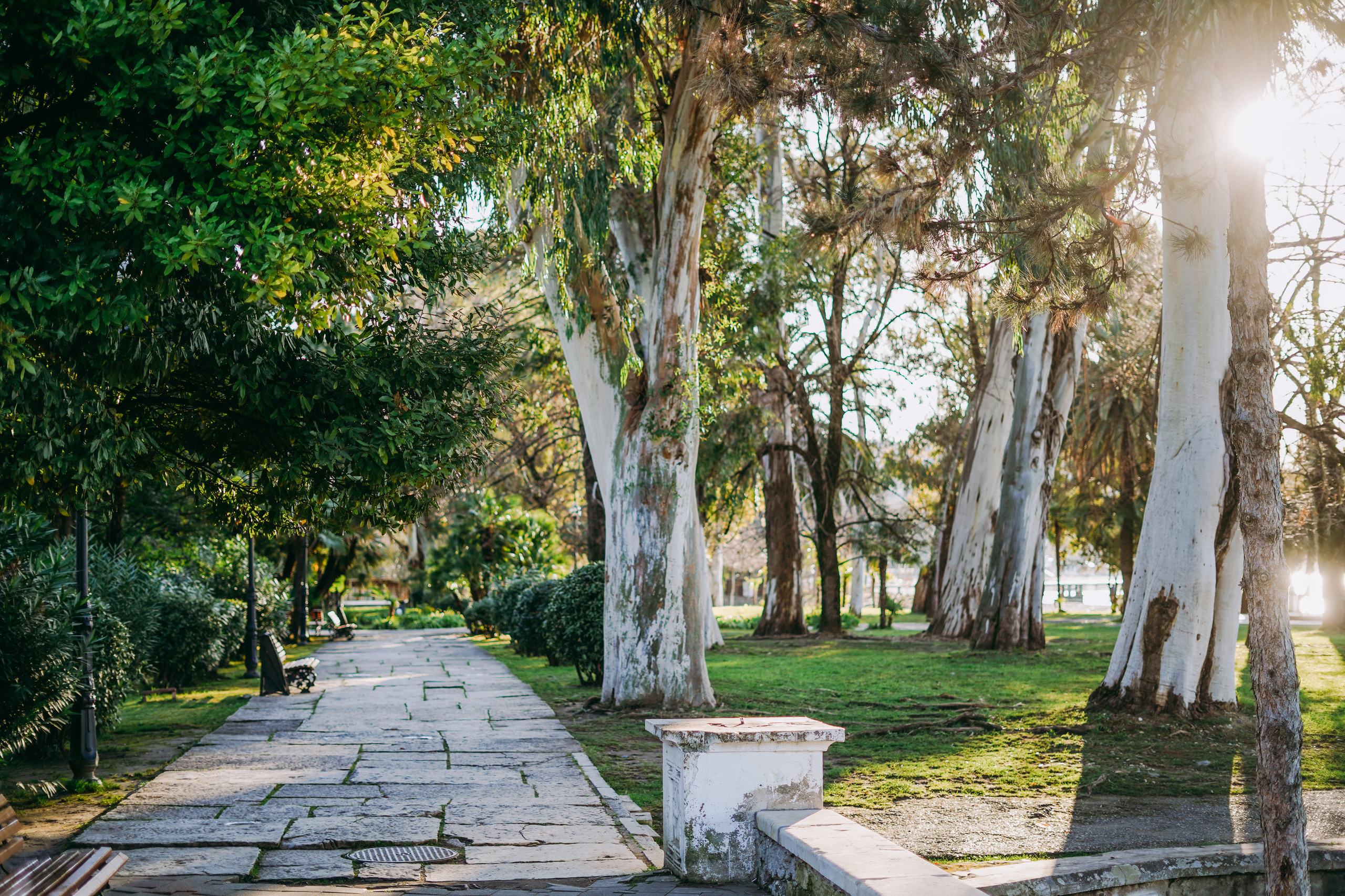 АБХАЗИЯ. ВОКРУГ СУХУМА. Фотограф в Сочи и Абхазии | Фототуры | September Air