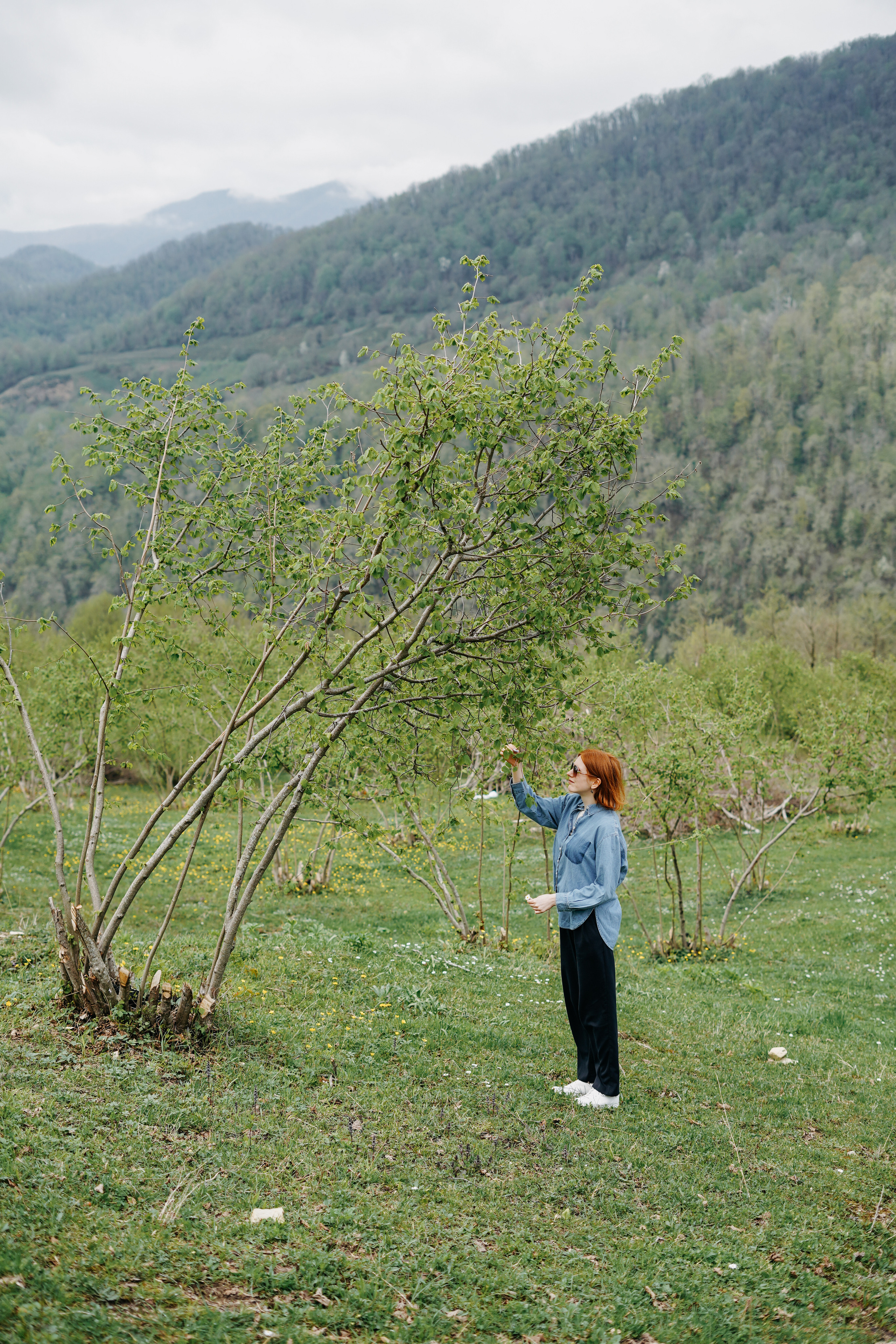 СОЛОХАУЛ. ПУТЕШЕСТВИЕ НА РОДИНУ РУССКОГО ЧАЯ. Фотограф в Сочи и Абхазии | Фототуры | September Air