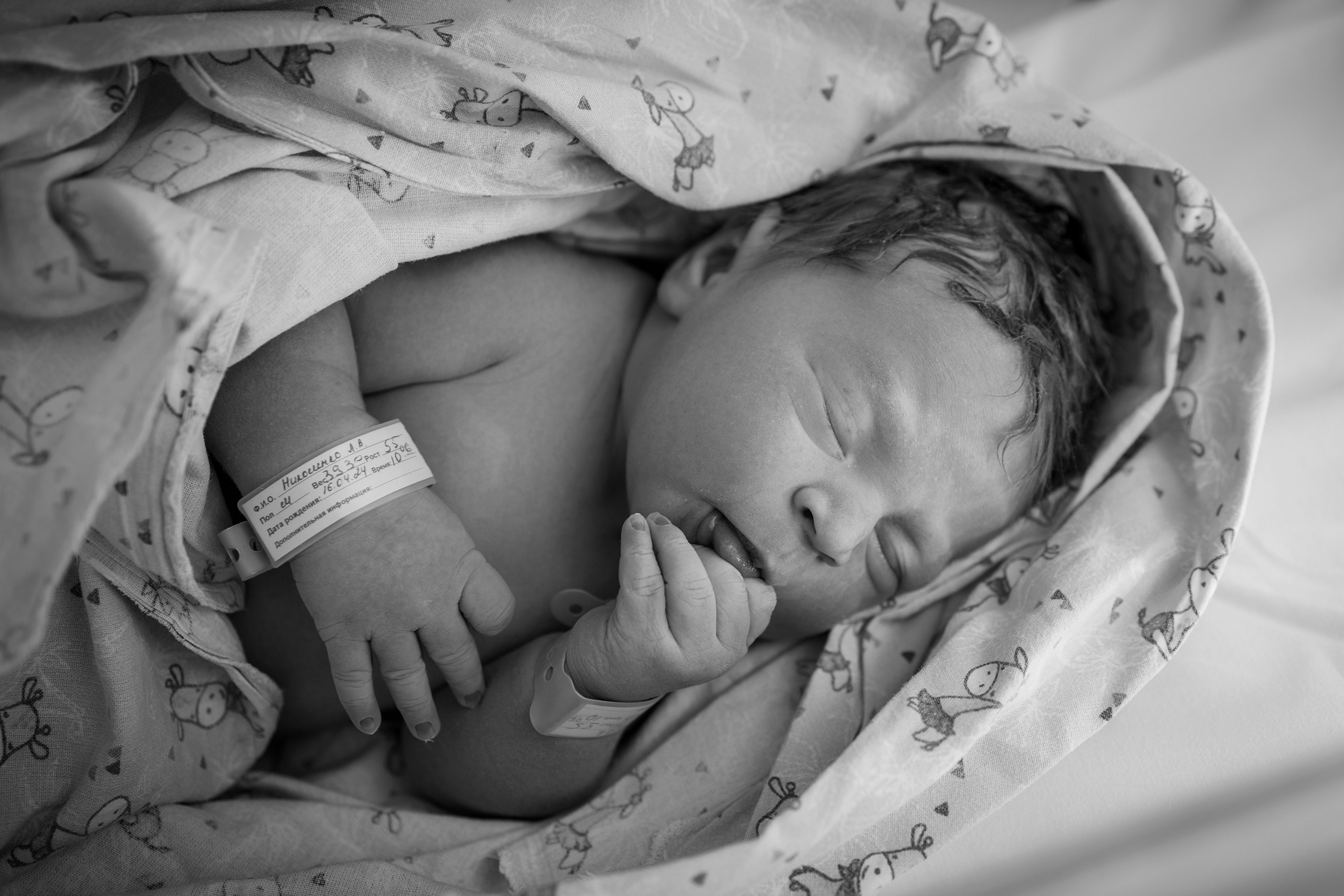 Рождение Тимофея