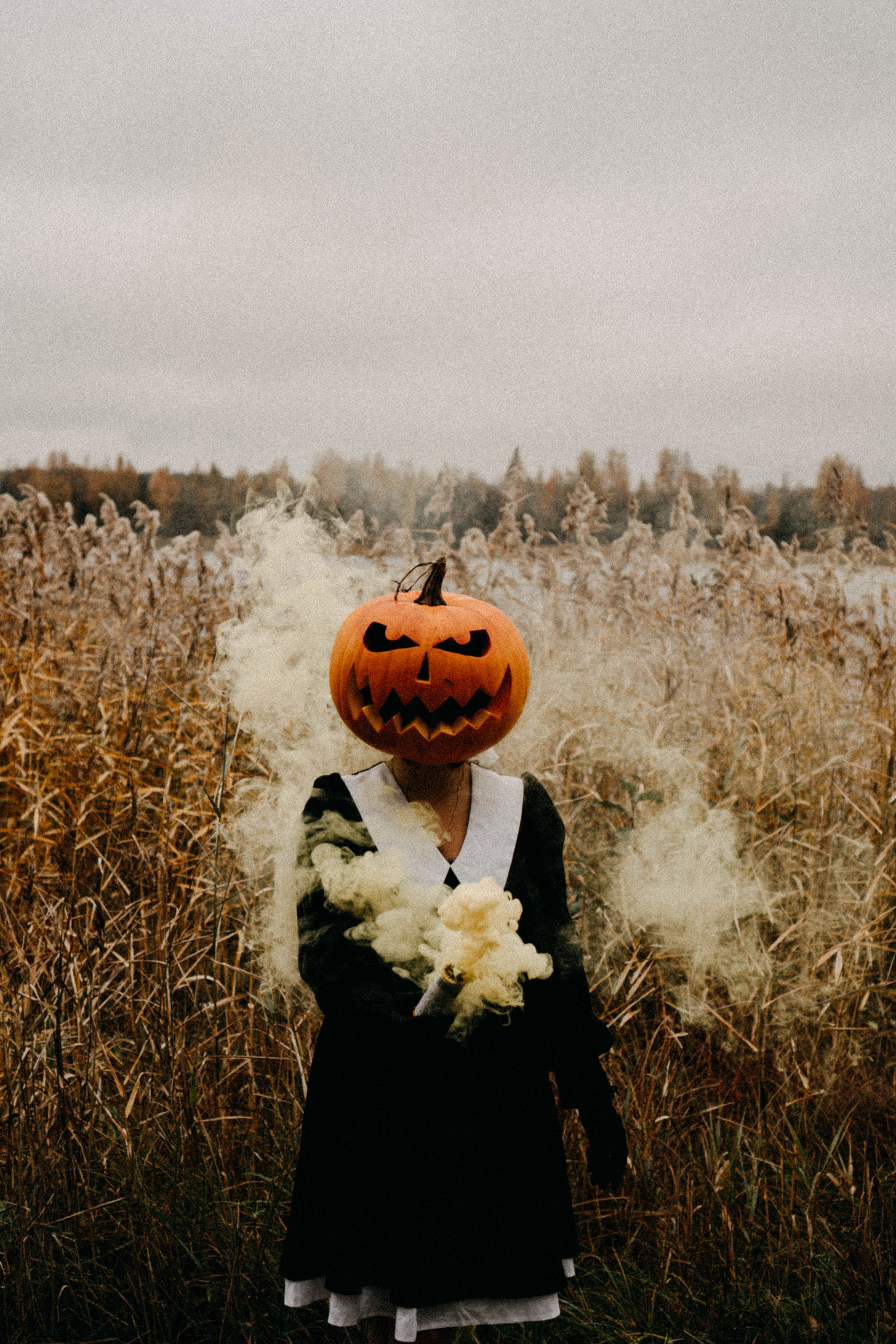 Осеняя. Профессиональный фотограф, Санкт-Петербург — Виктория Богомолова