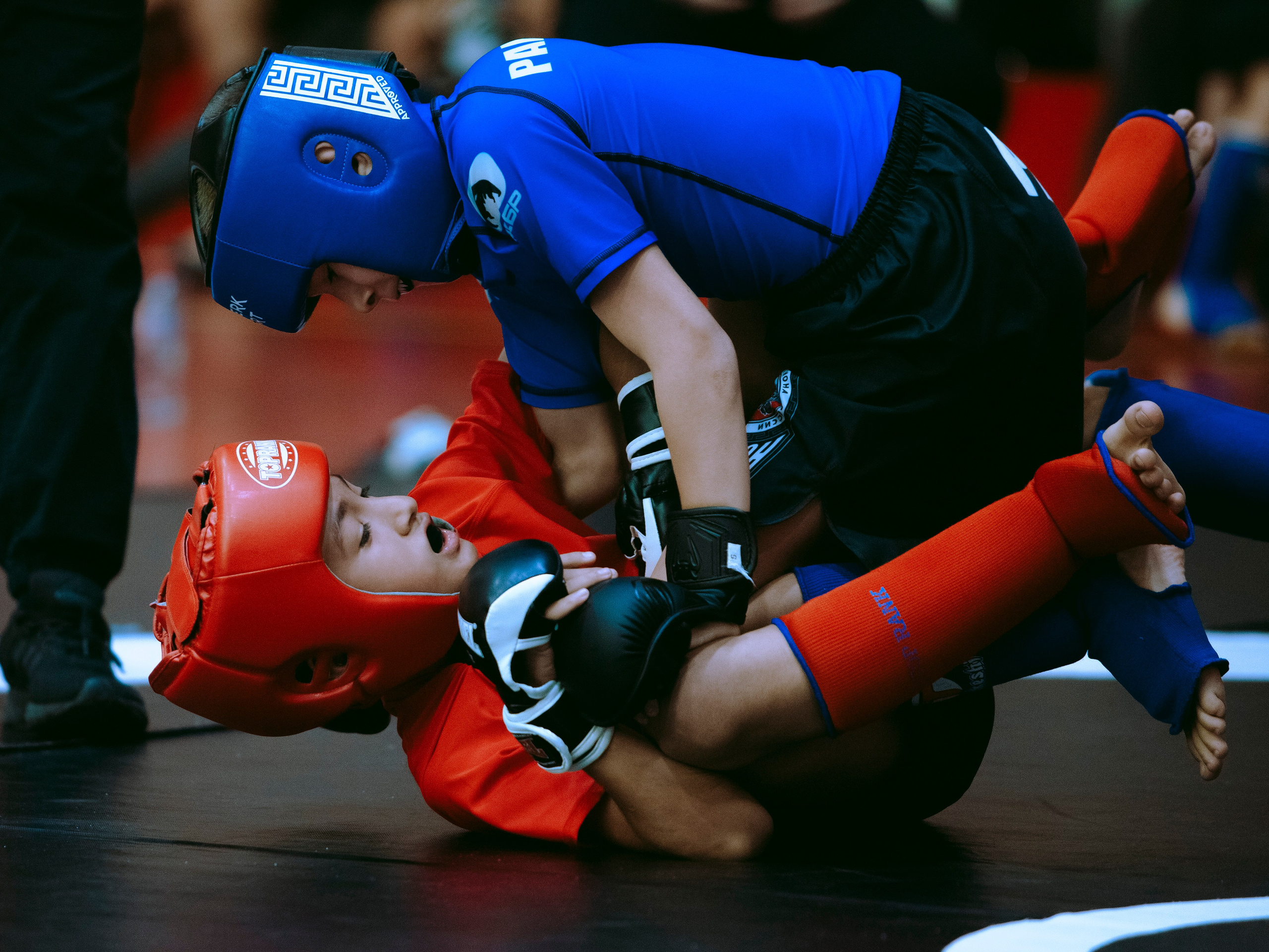 Кубок России по спортивной борьбе панкратион `23. Портретный фотограф в Москве Дарья Цезария