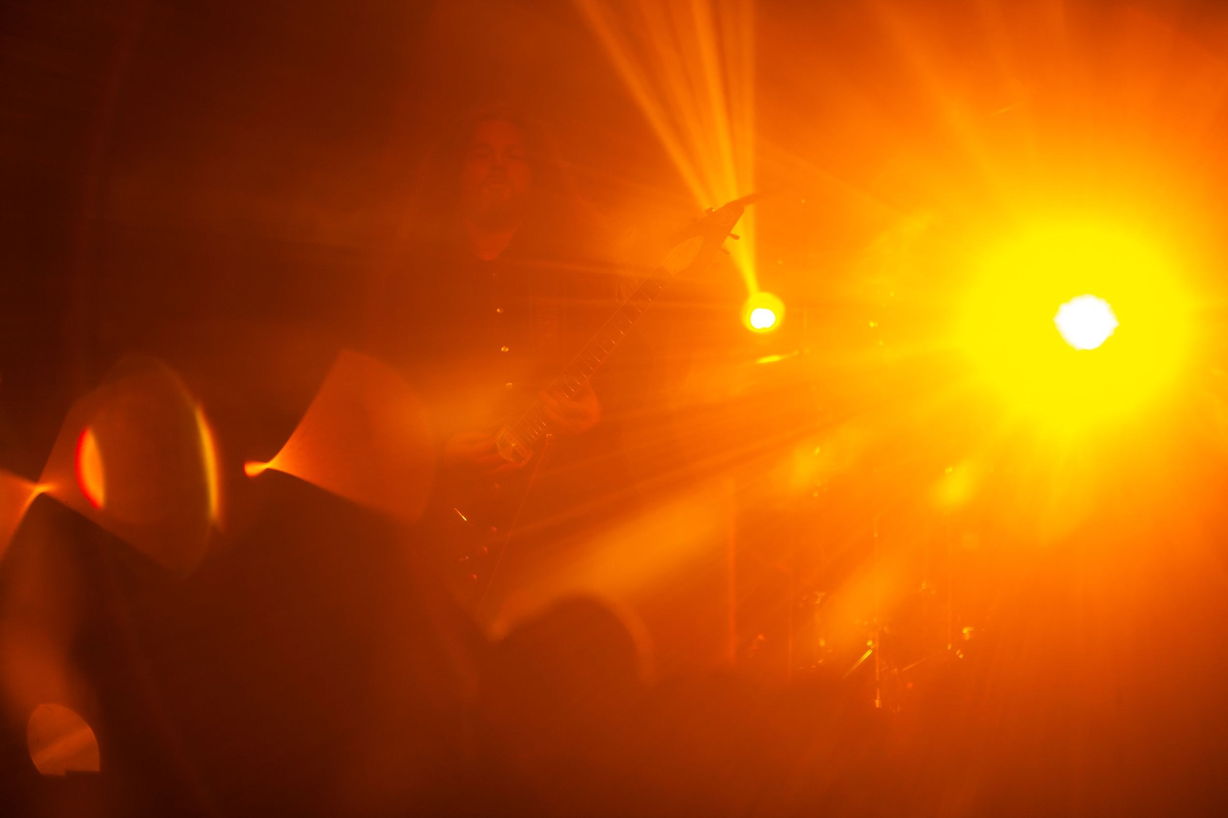 Animal ДжаZ. Репортажный фотограф Алексей Пирязев