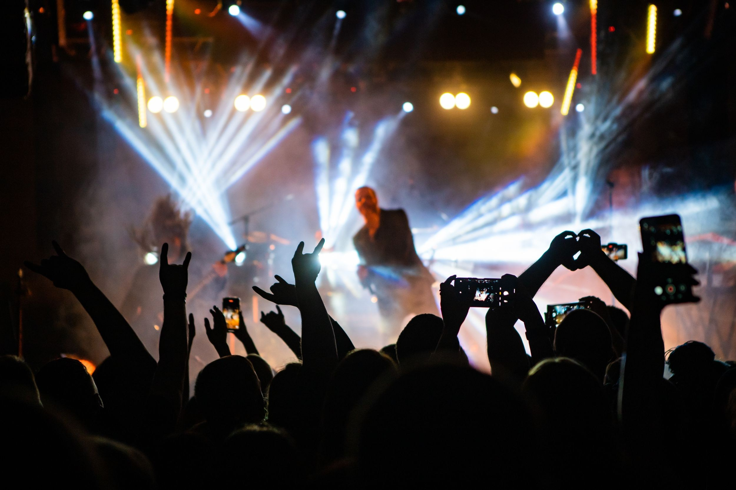 Animal ДжаZ. Репортажный фотограф Алексей Пирязев