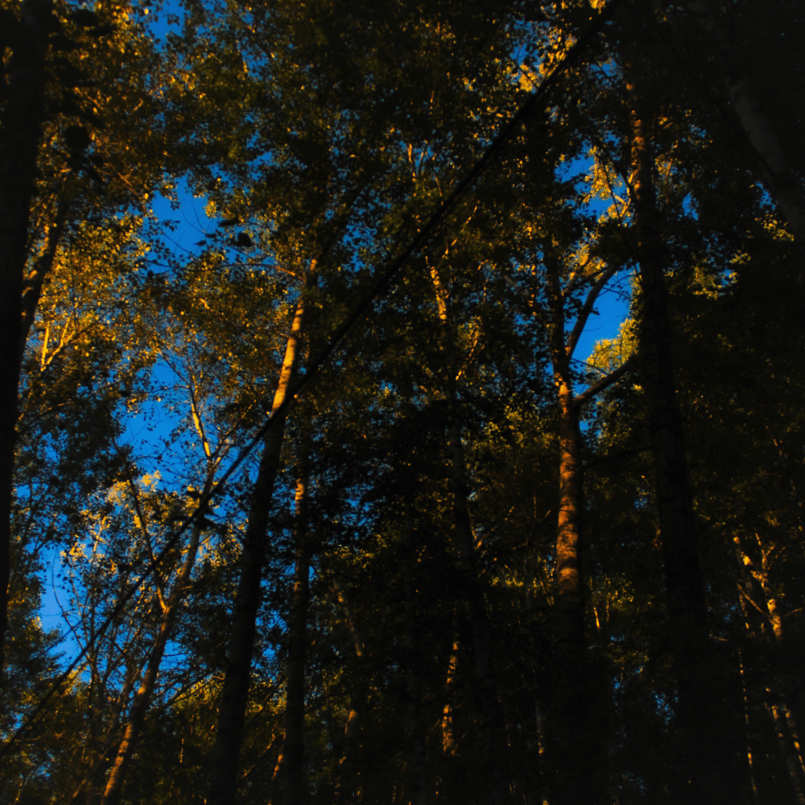 Summertime. Фотограф/дизайнер в Екатеринбурге Хитрый Дмитрий