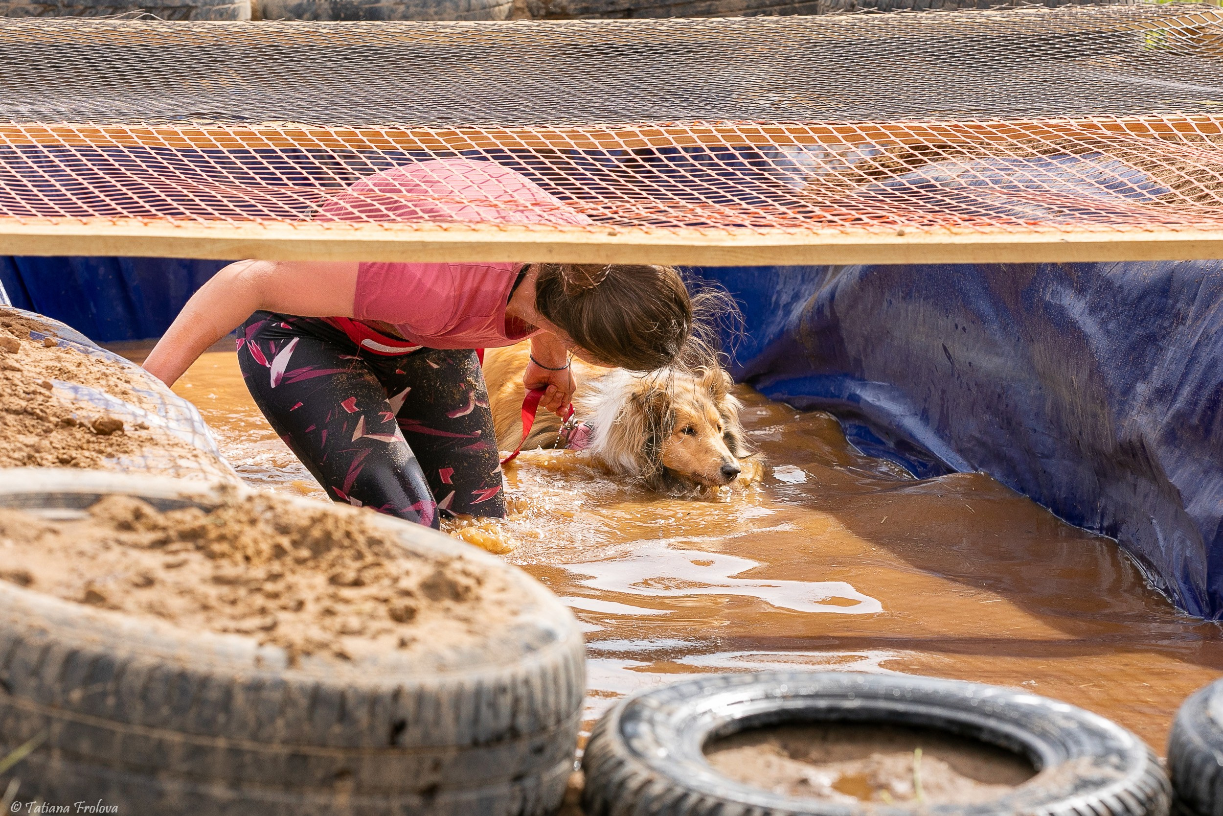 Фоторепортаж с забега с собаками. Фотограф-анималист в Москве и Московской области Татьяна Фролова