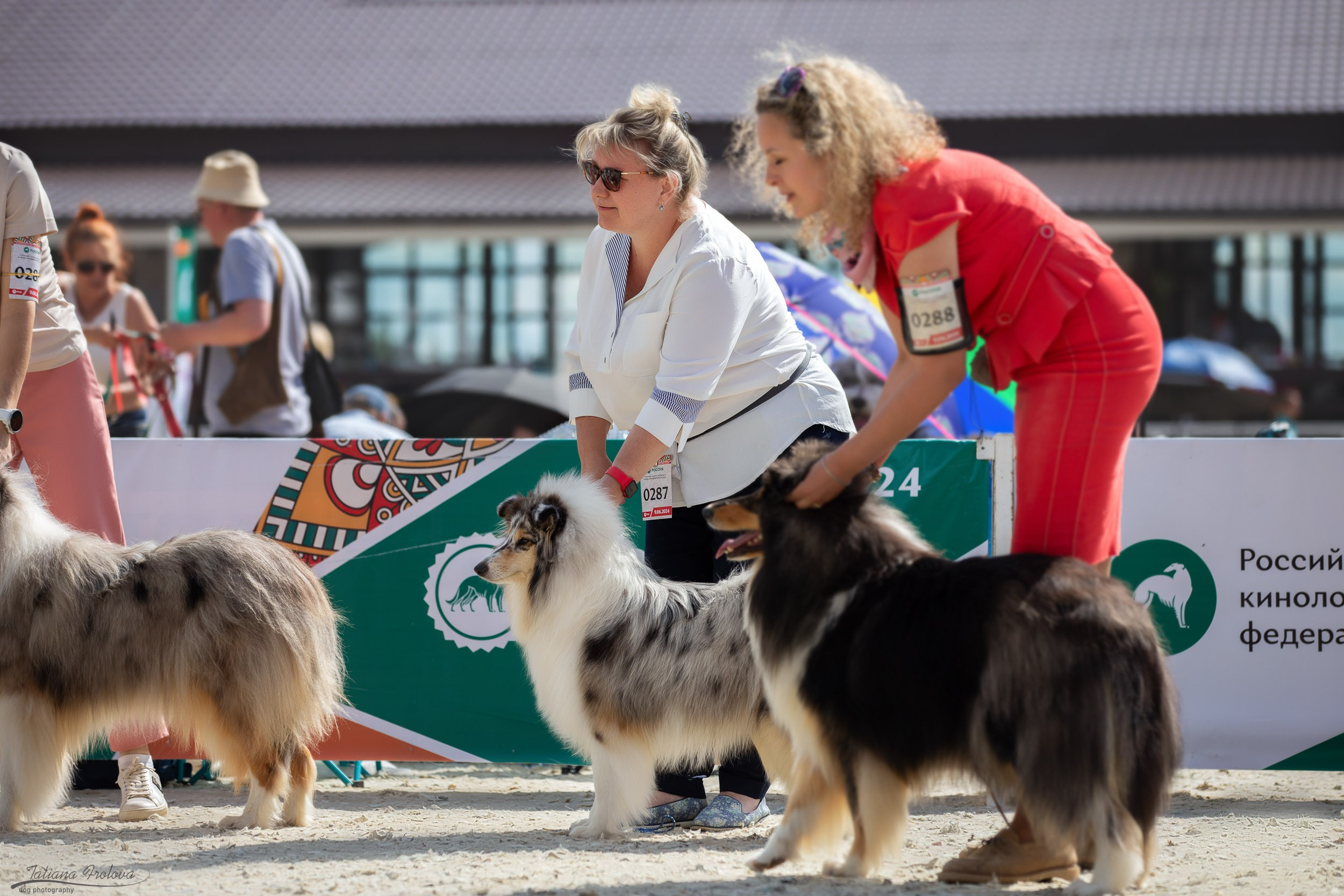 Репортаж с выставки Россия. Фотограф-анималист в Москве и Московской области Татьяна Фролова