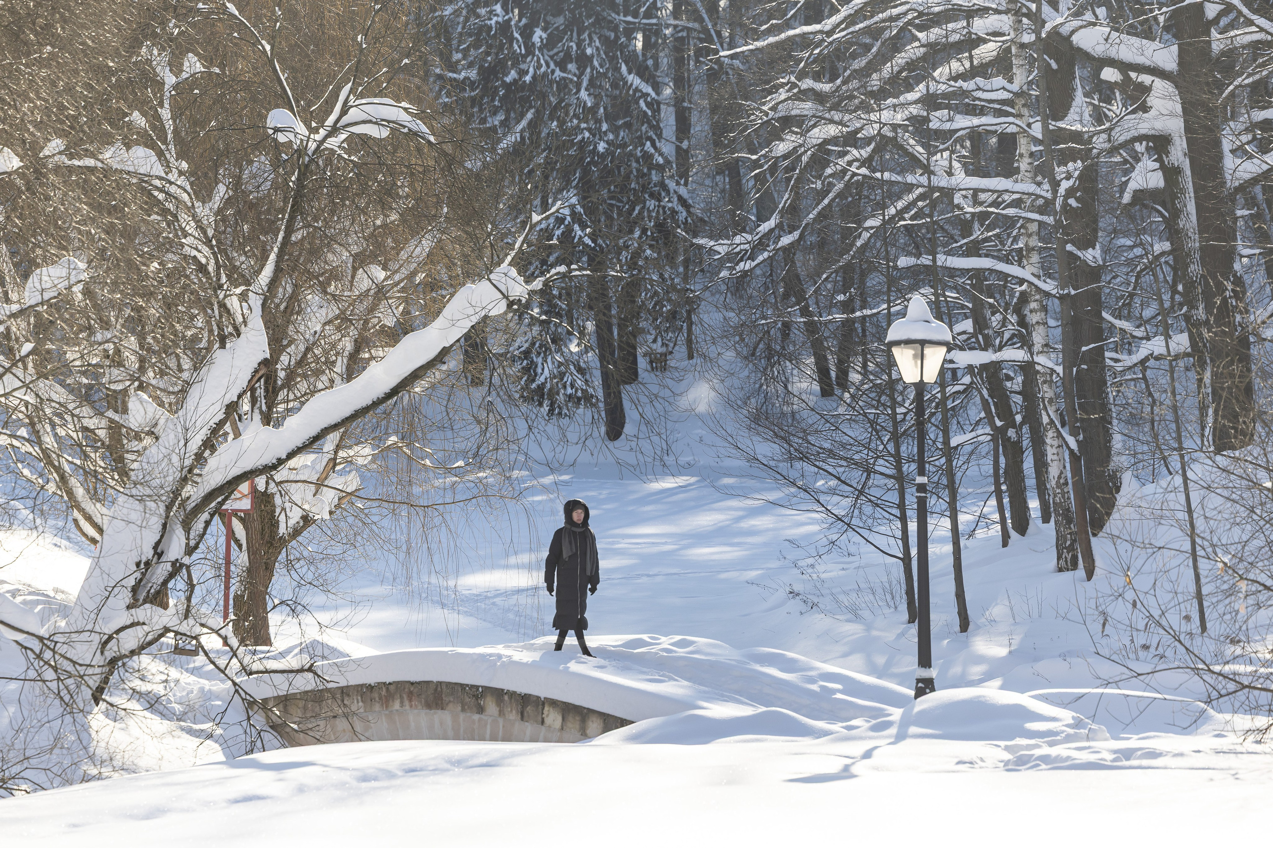 Природа. Фотограф Владимир Охрименко