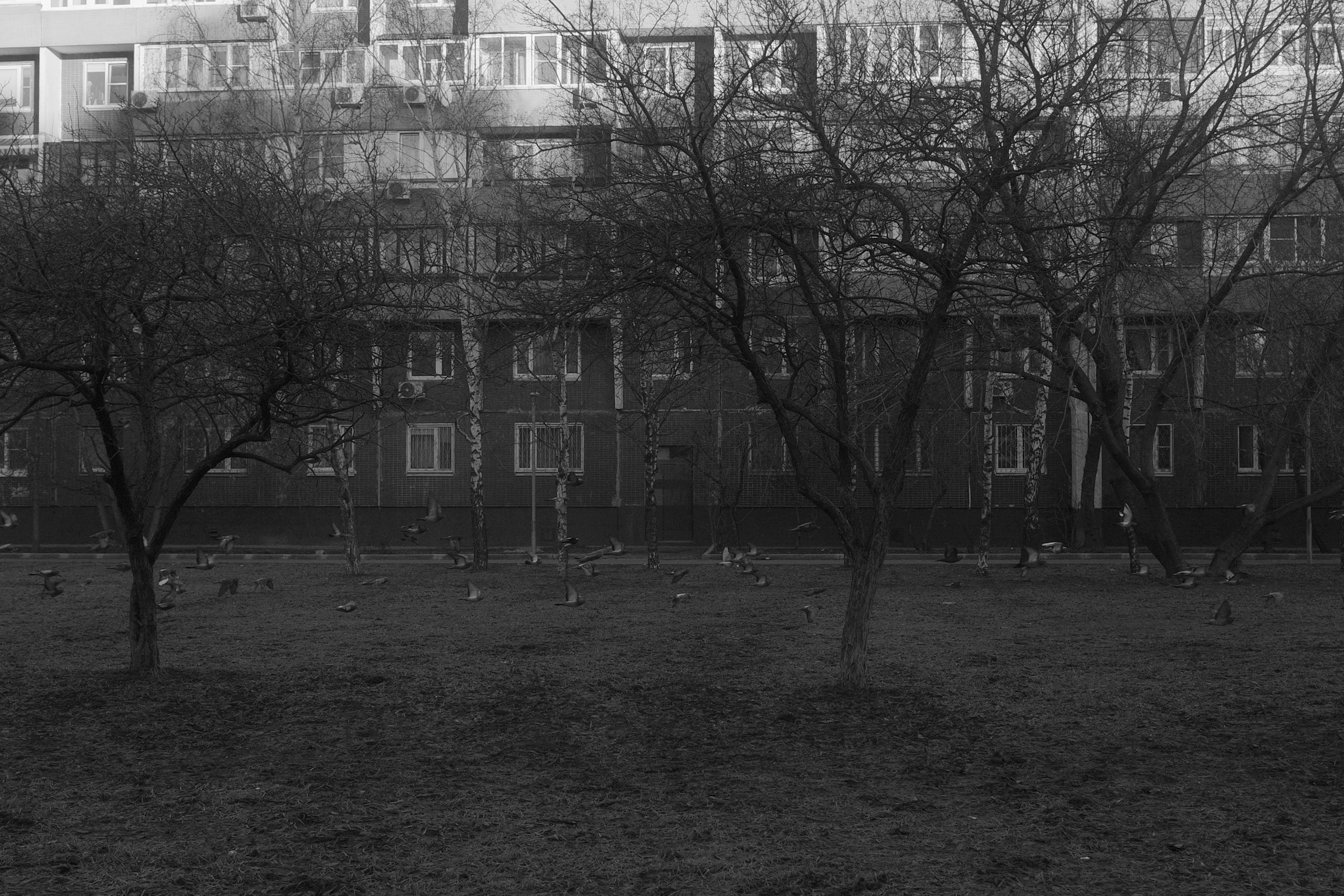 — 2025. Фотограф Злата Спицына