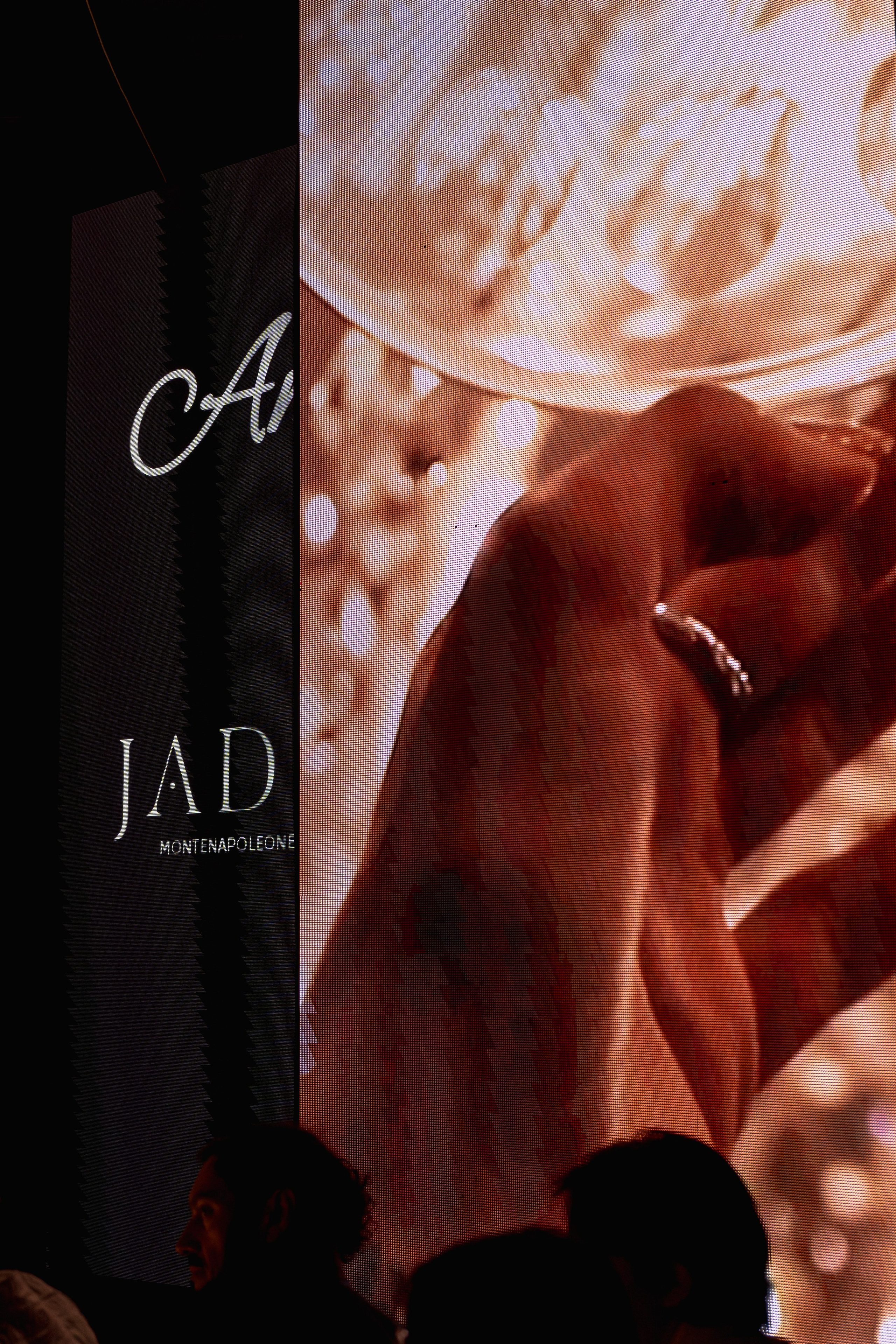 EFW. Фотографирую пары и индивидуальные съемки в Алматы Шунько Ирина