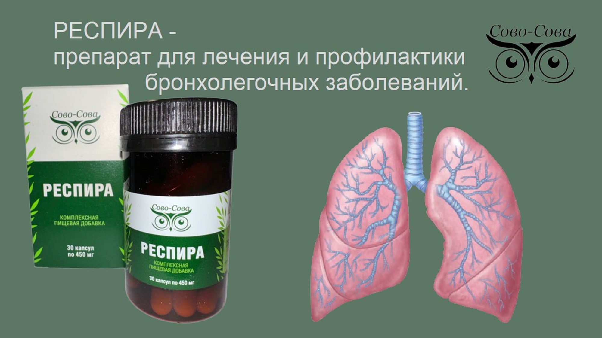 КПД компании Сово-Сова. Сово-Сово — Омоложение и оздоровление!