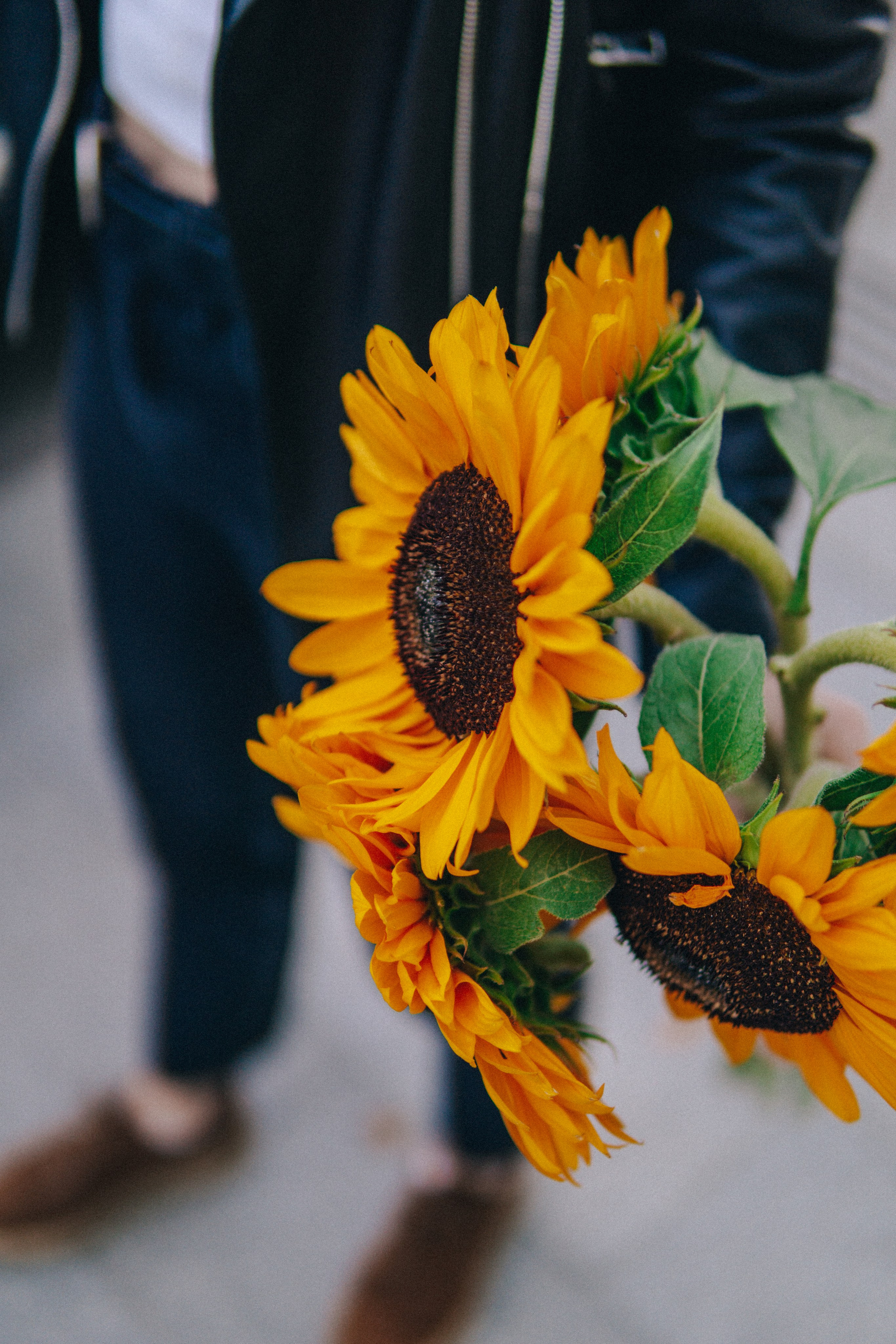 Карина и Глеб. ФОТОГРАФ Любовь Скок. Москва