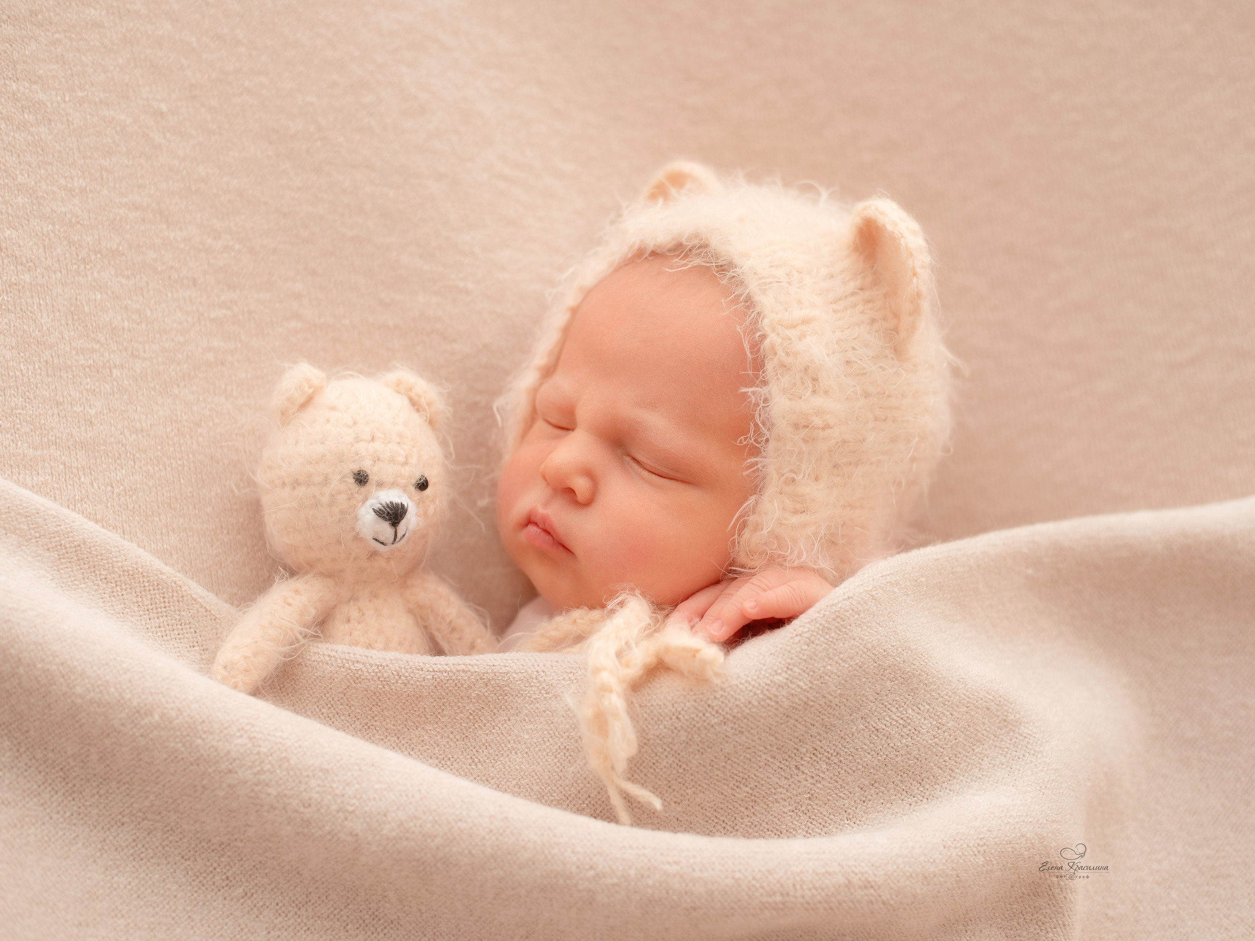 Стефания , выезд на дом, мишутка.