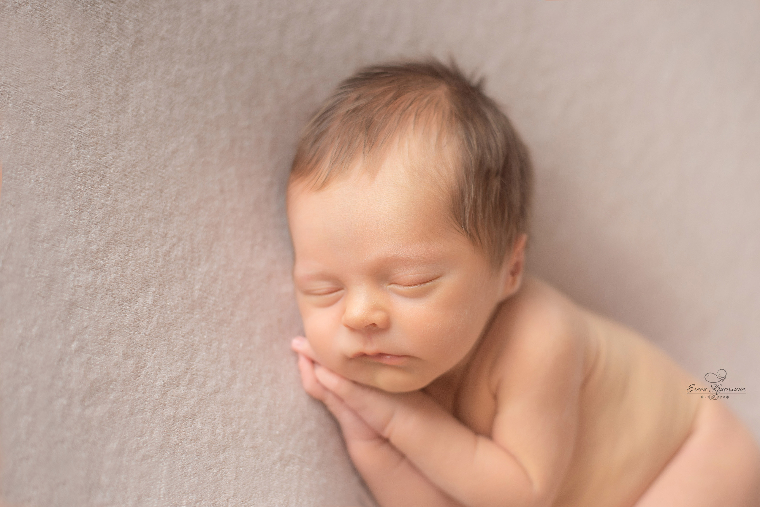 Даниил, поза на боку портрет 