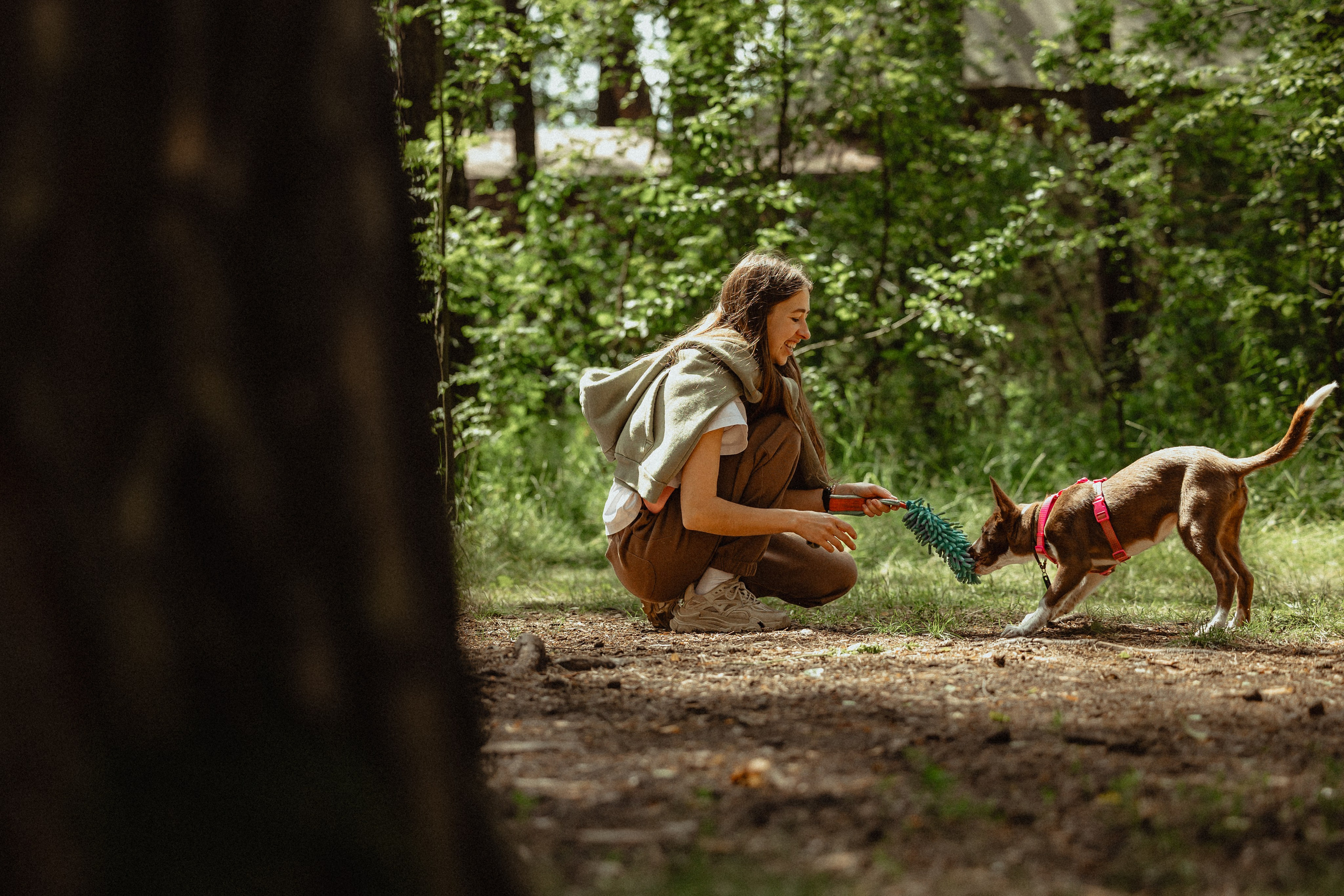 Выездной дог-тренинг от школы «Шерсть имею»