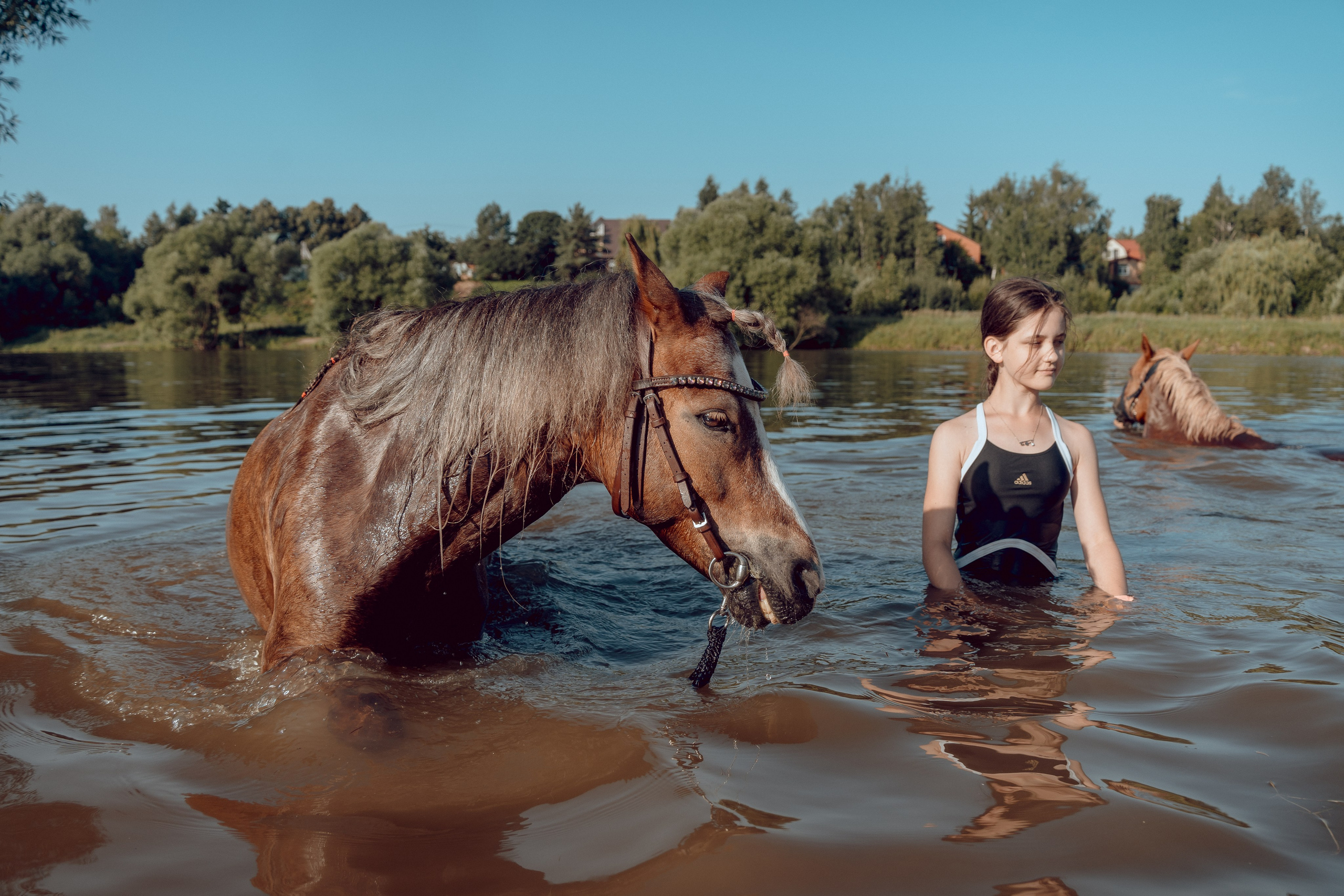 Купание лошадей 05.07.2024. Портретный и семейный фотограф в Москве/Видное
