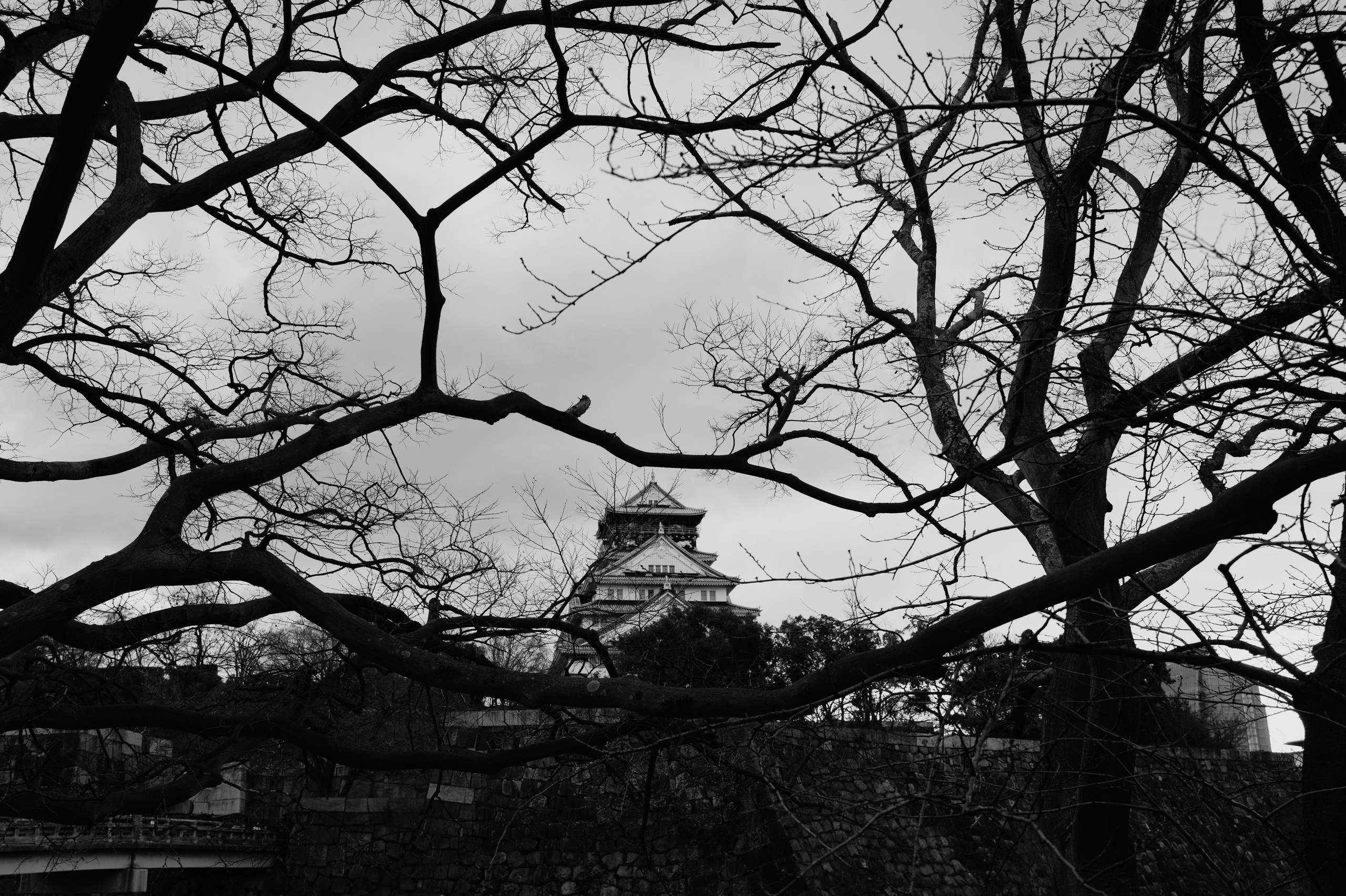 Japan/Япония. @tomrus: Рустам Шагиморданов — фотограф