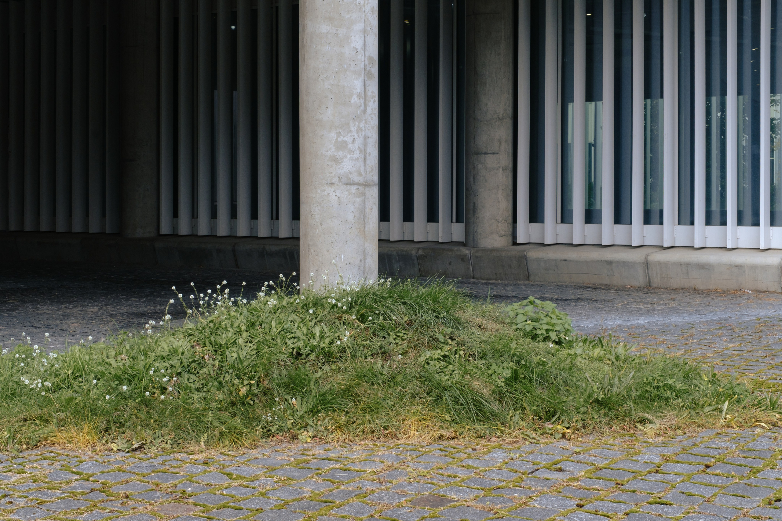 Сколтех, 2025. Фотограф и исследователь городской среды Ксения Русс