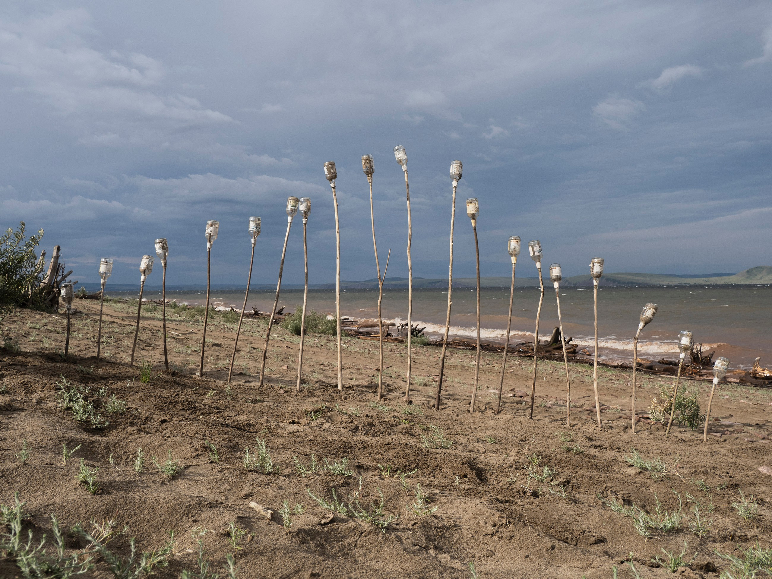 Александр Лещёнок и Марина Огнева | междисциплинарные художники