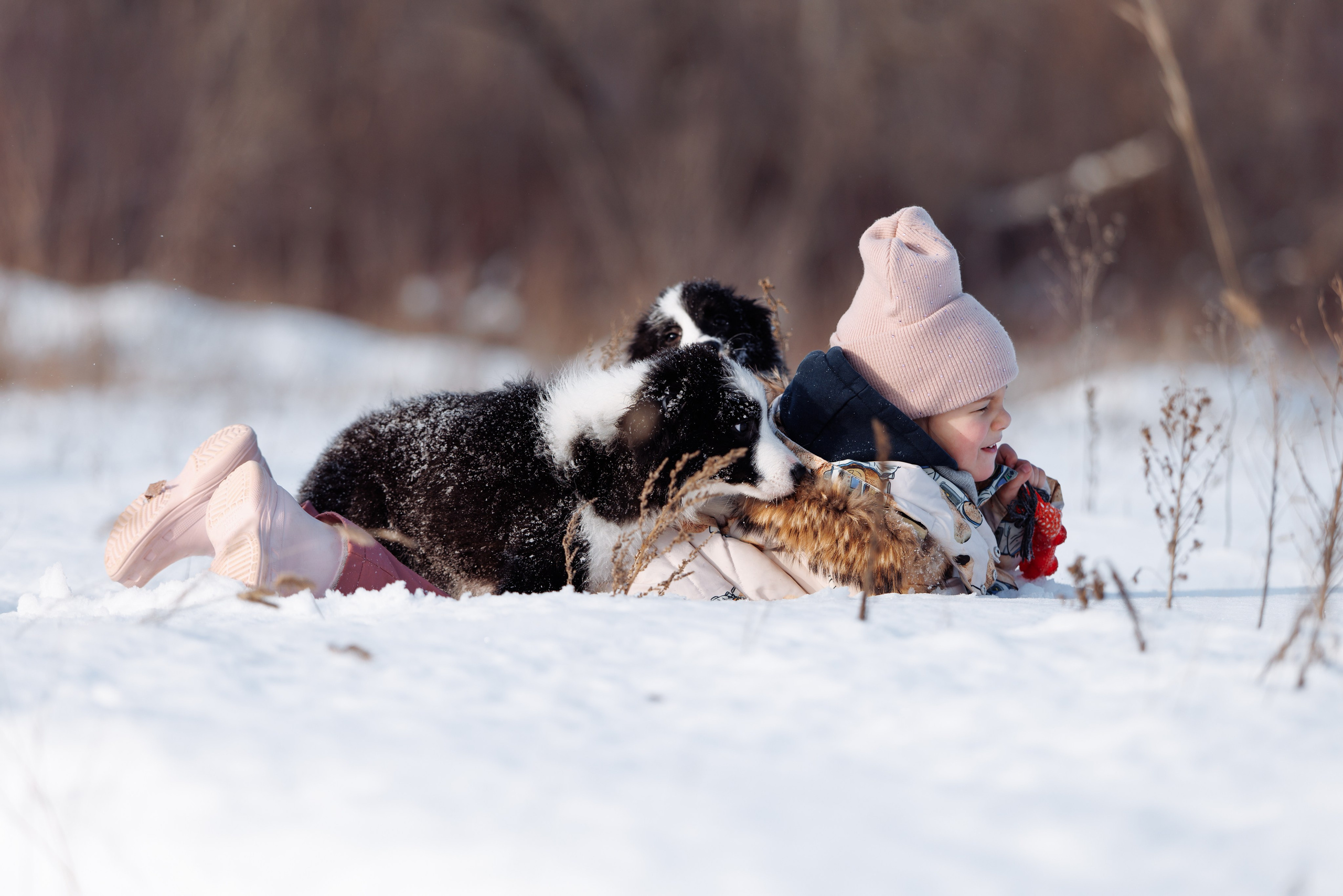 Яркий январь. О нас