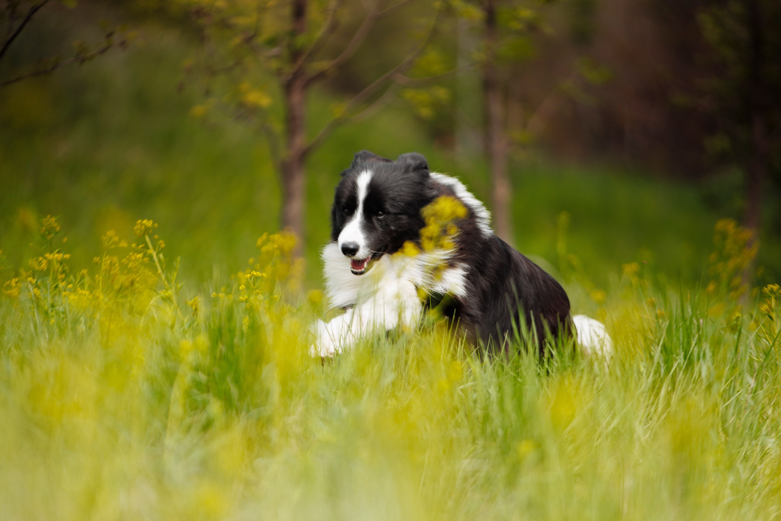 Такой разношерстный Орск 25. О нас